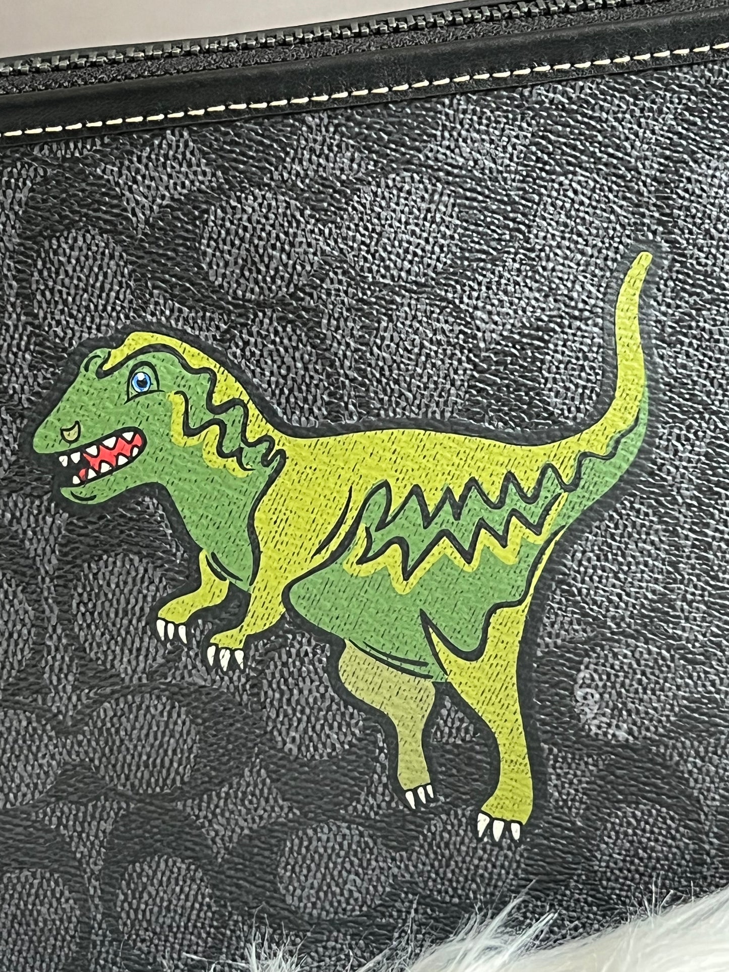 Coach Charter Crossbody 24 Signature Canvas with Rexy