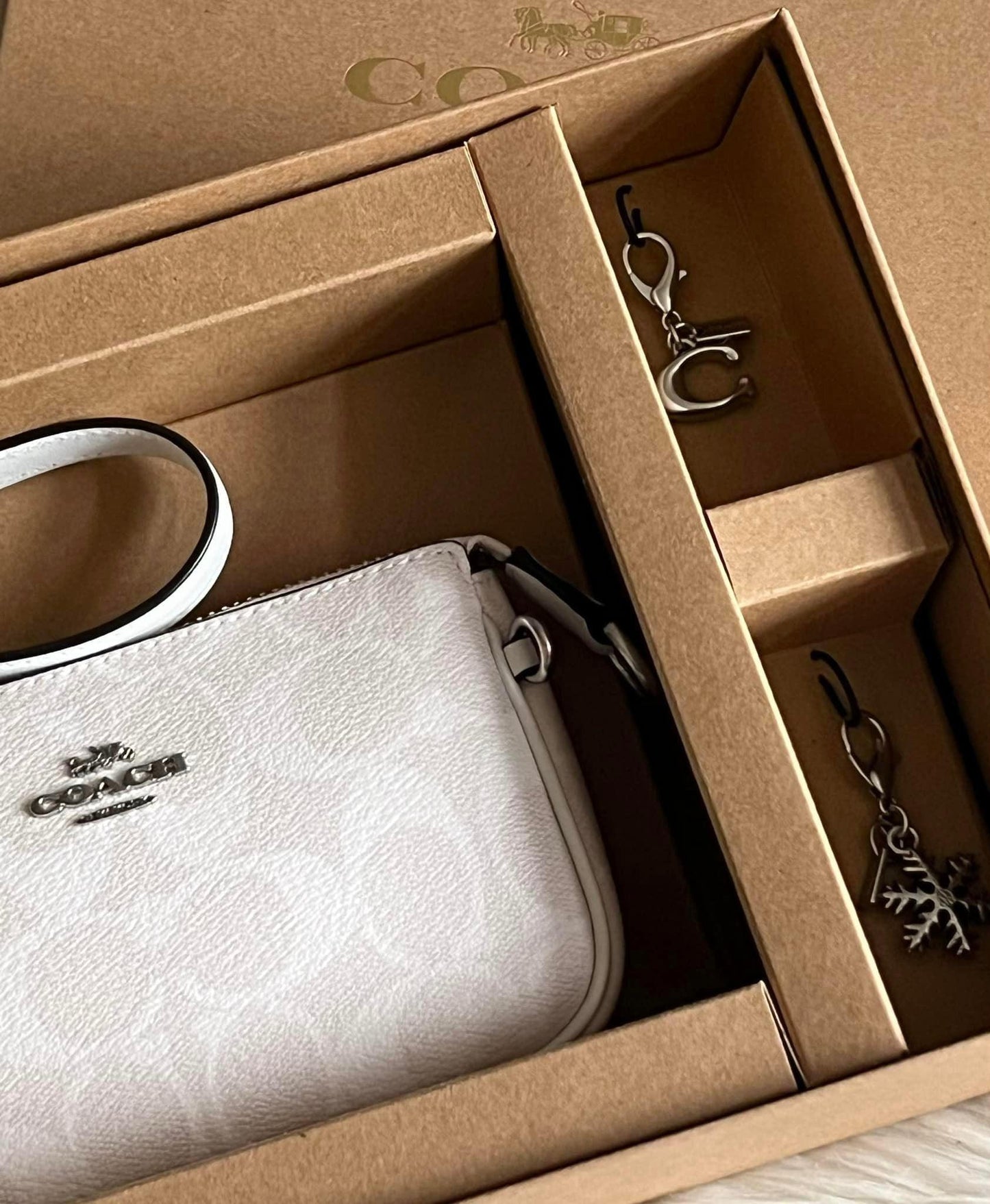 Coach Boxed Nolita 15 In Signature Canvas