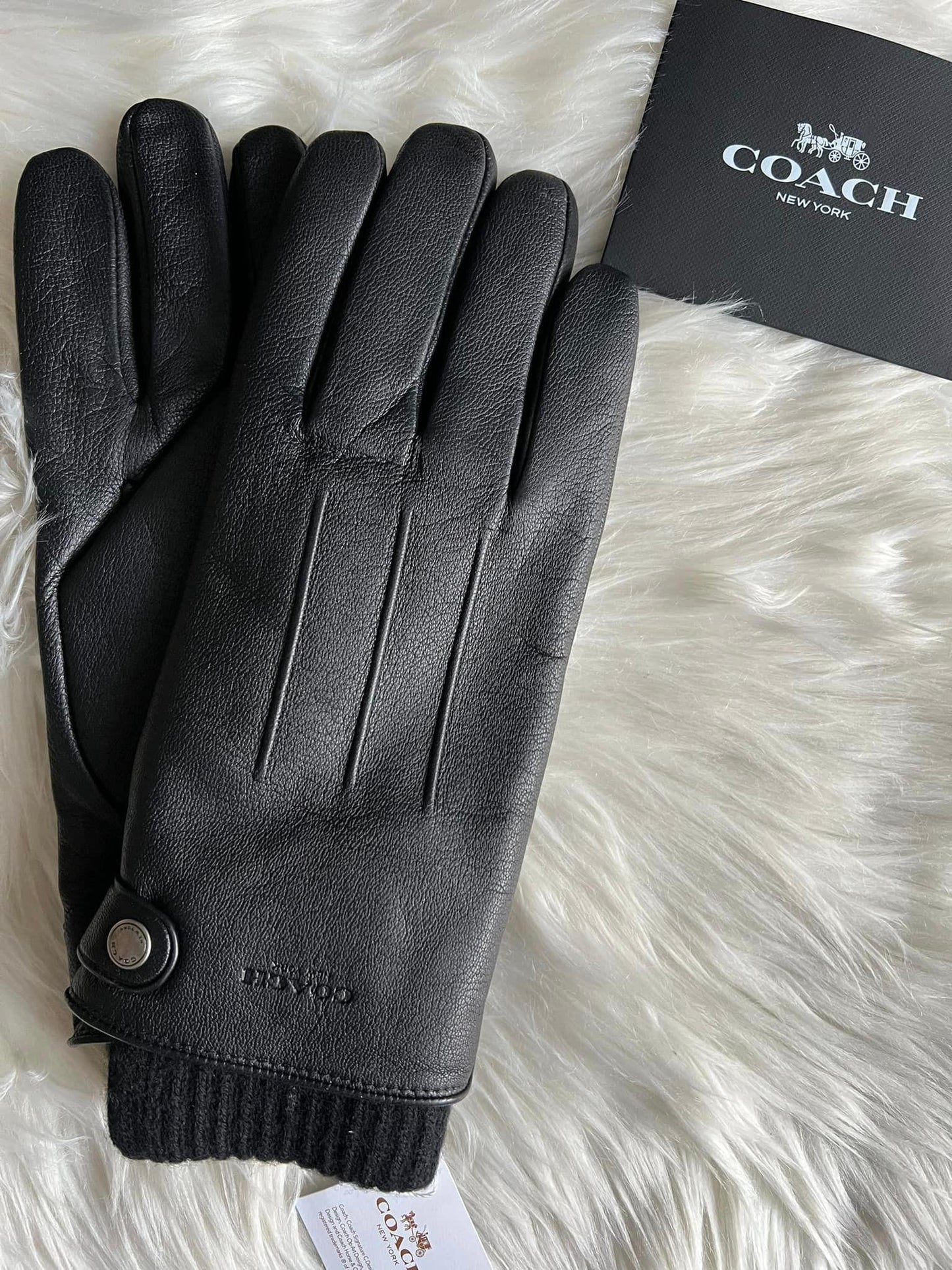 Coach 3-in-1 Leather Gloves