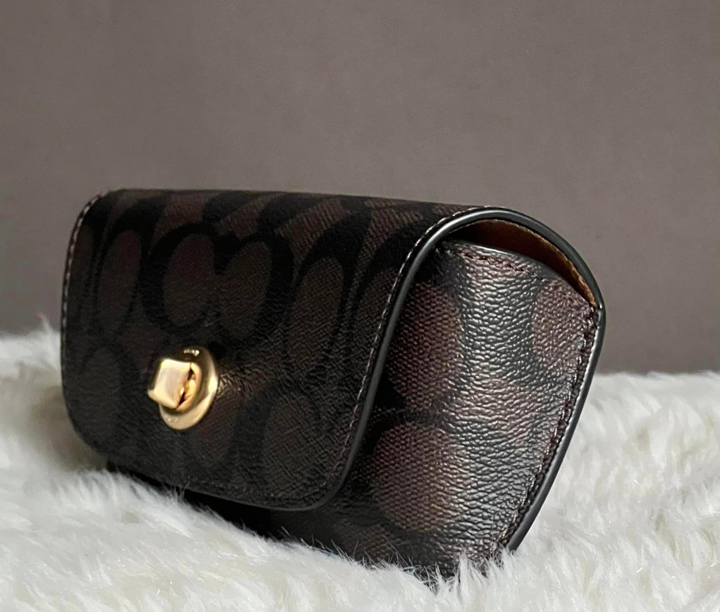 Coach Sunglass Case In Signature Canvas