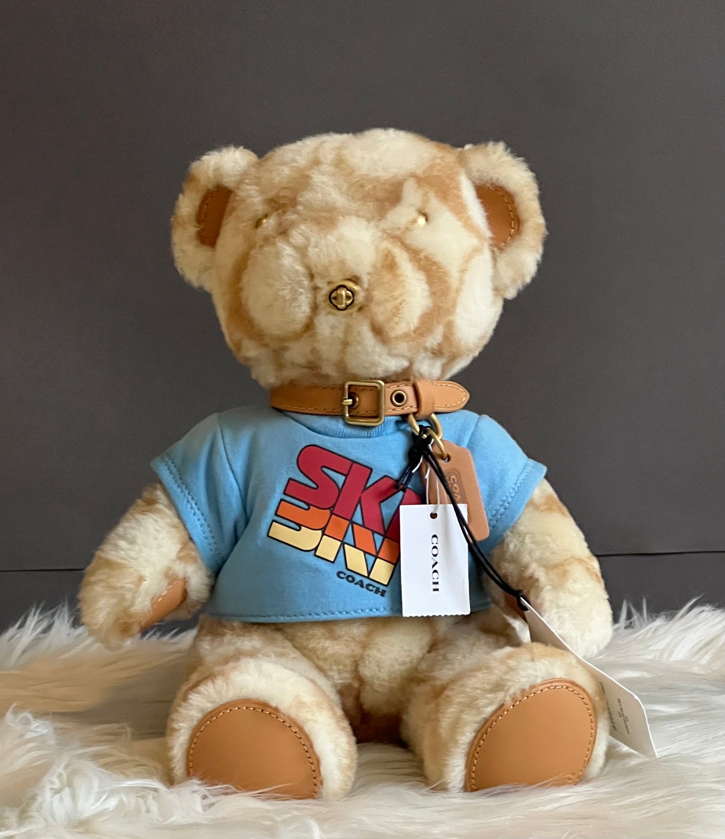 Coach Ski Bear Collectible in Signature Shearling