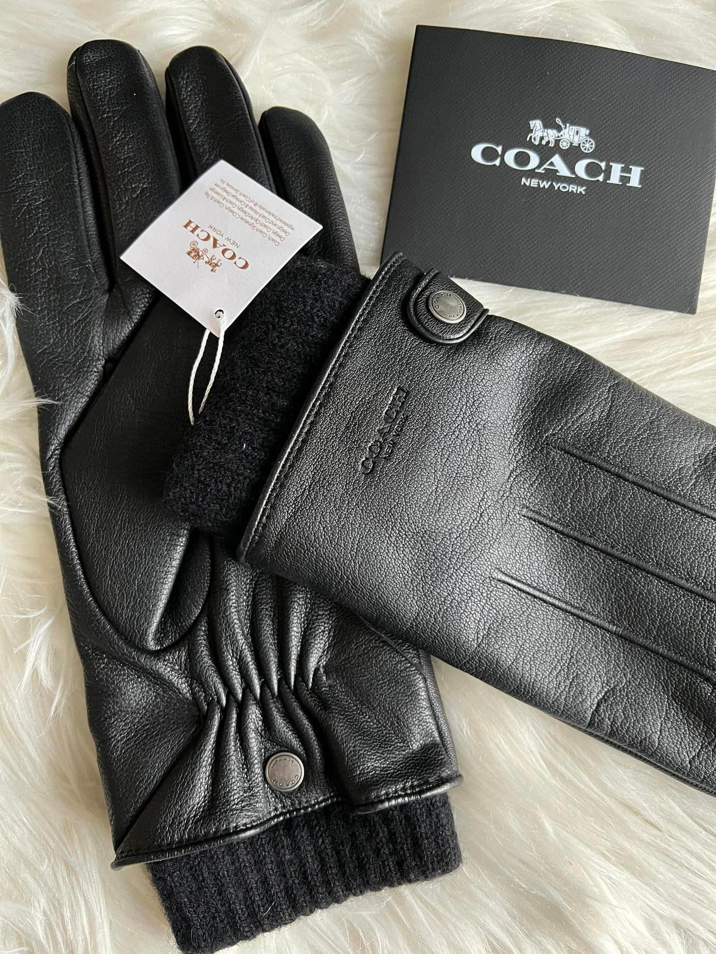 Coach 3-in-1 Leather Gloves