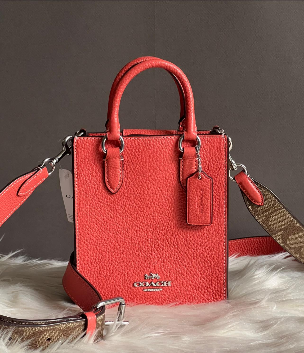 Coach North South Mini Tote with Signature Canvas