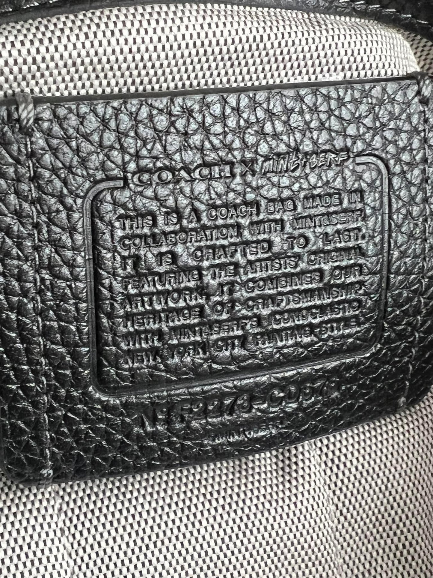 Coach X Mint + Serf Carriage Backpack