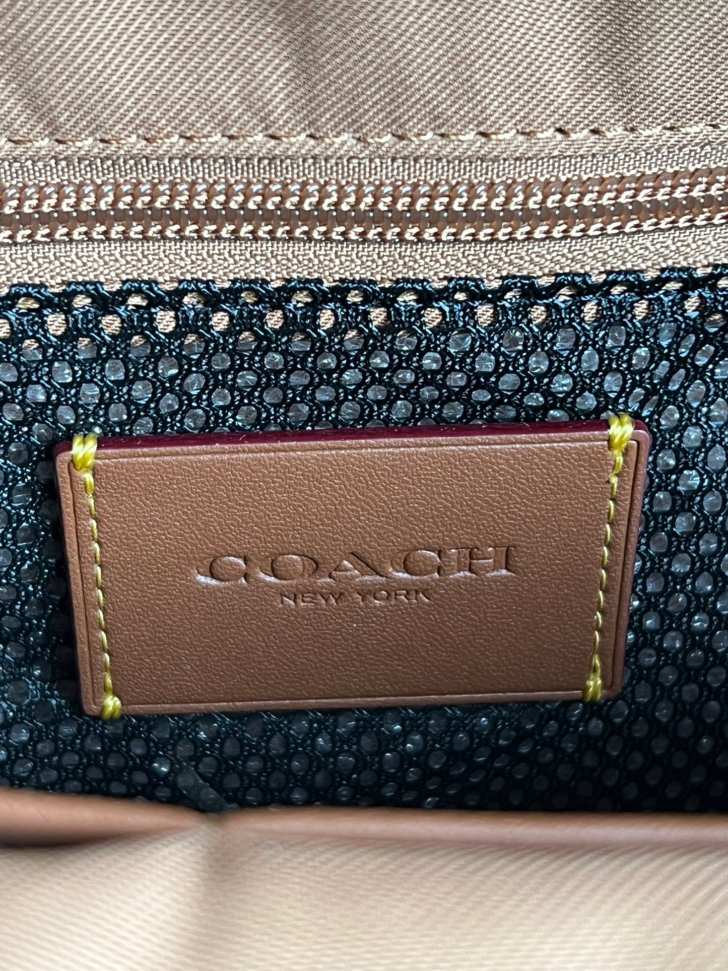 Disney X Coach Charter Backpack in Regenerative Leather