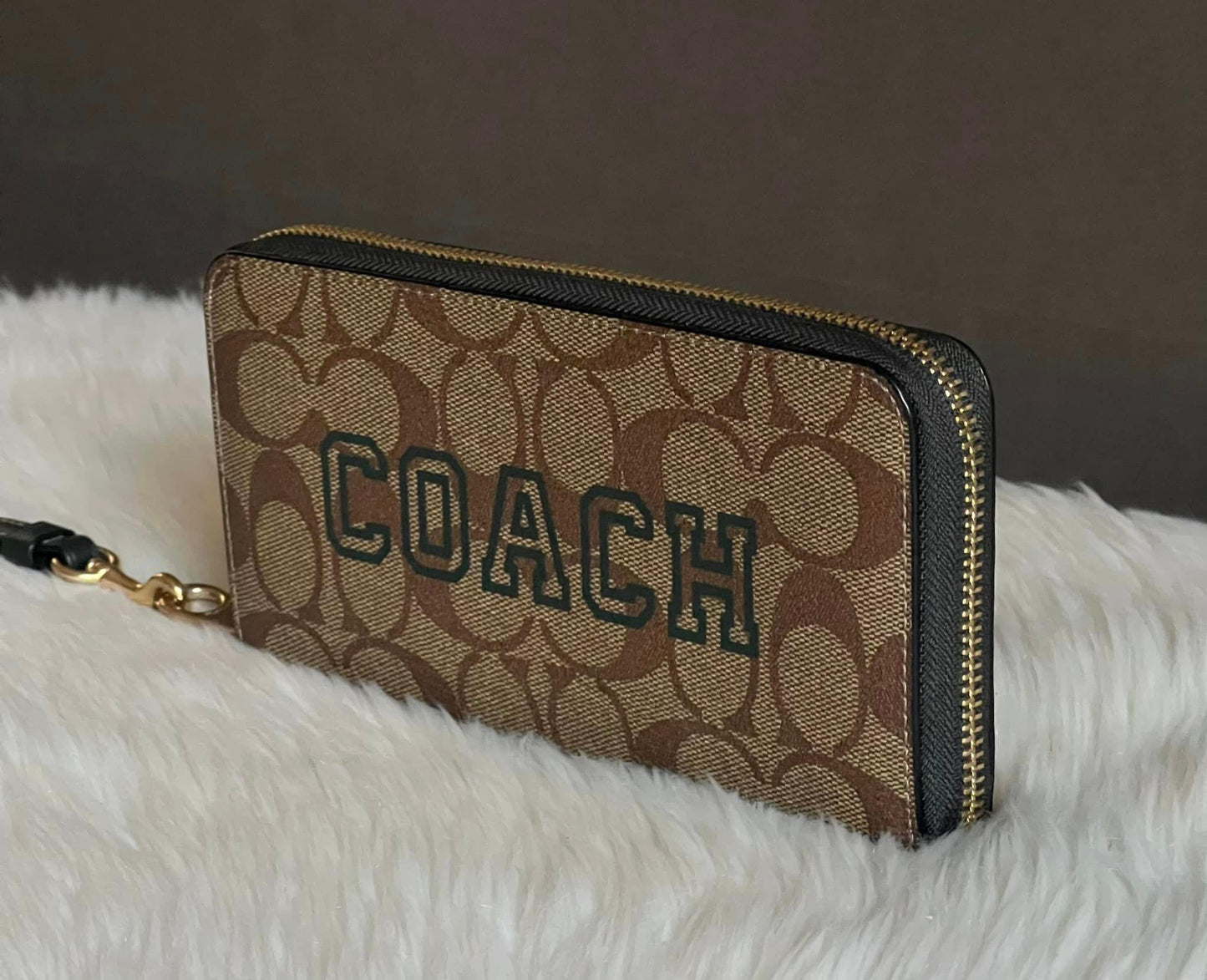 Coach Long Zip Around Wallet In Signature Canvas With Varsity Motif