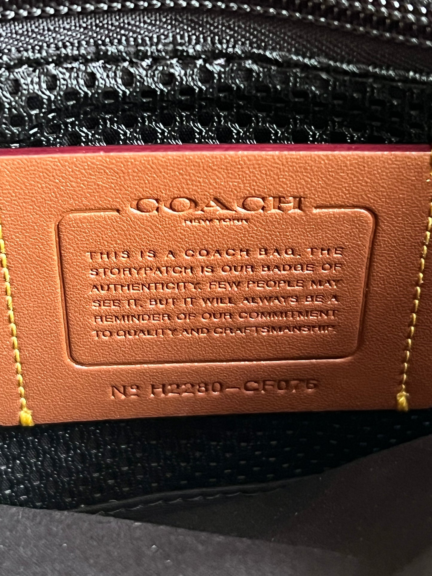 Coach Charter Crossbody 24 Signature Canvas with Rexy