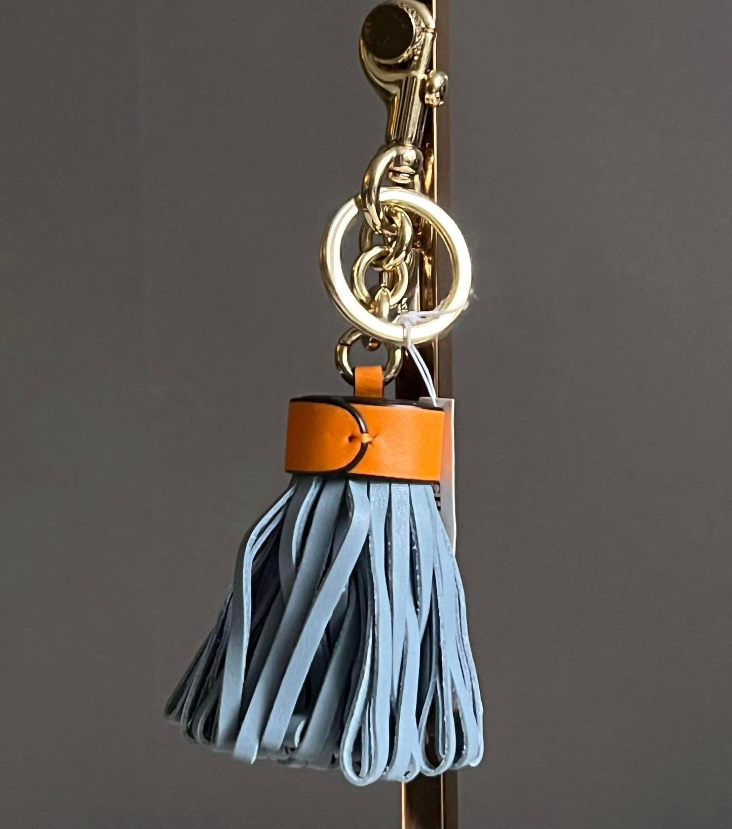 Coach Leather Tassel Bag Charm