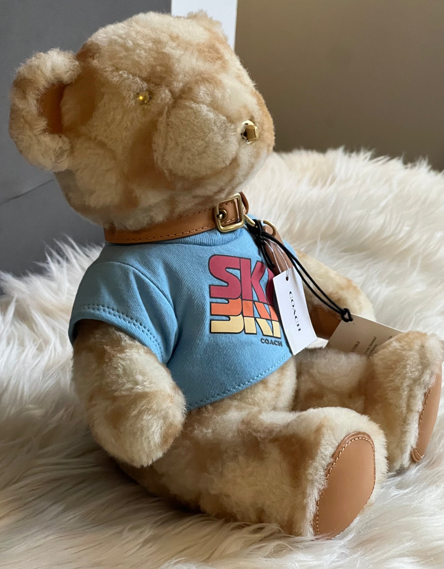 Coach Ski Bear Collectible in Signature Shearling