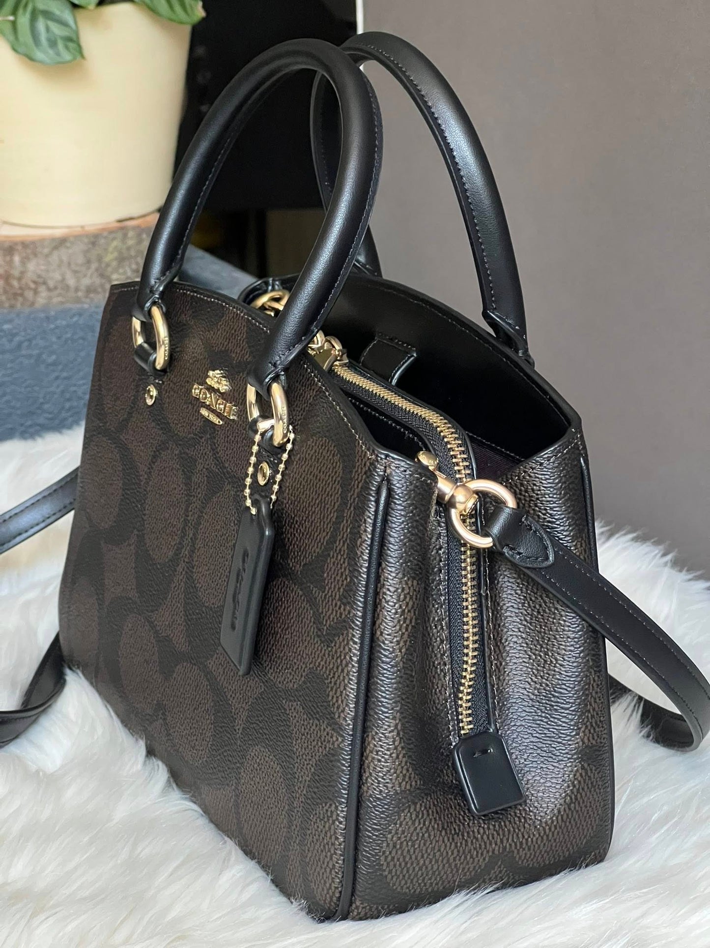 Coach Savannah Small Carryall Bag in Signature Canvas