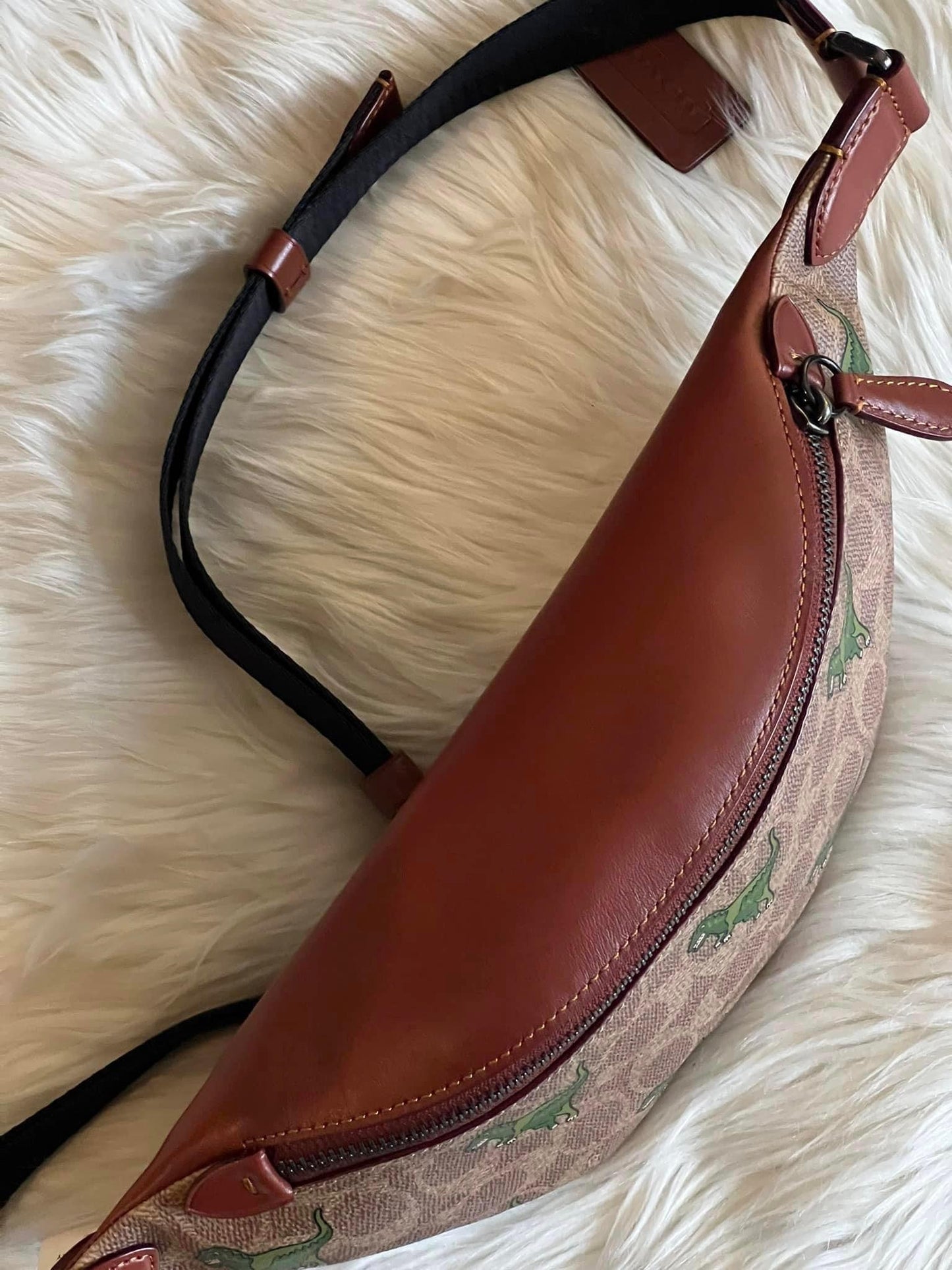 Coach Charter Belt Bag 7 in Signature Canvas with Rexy Print