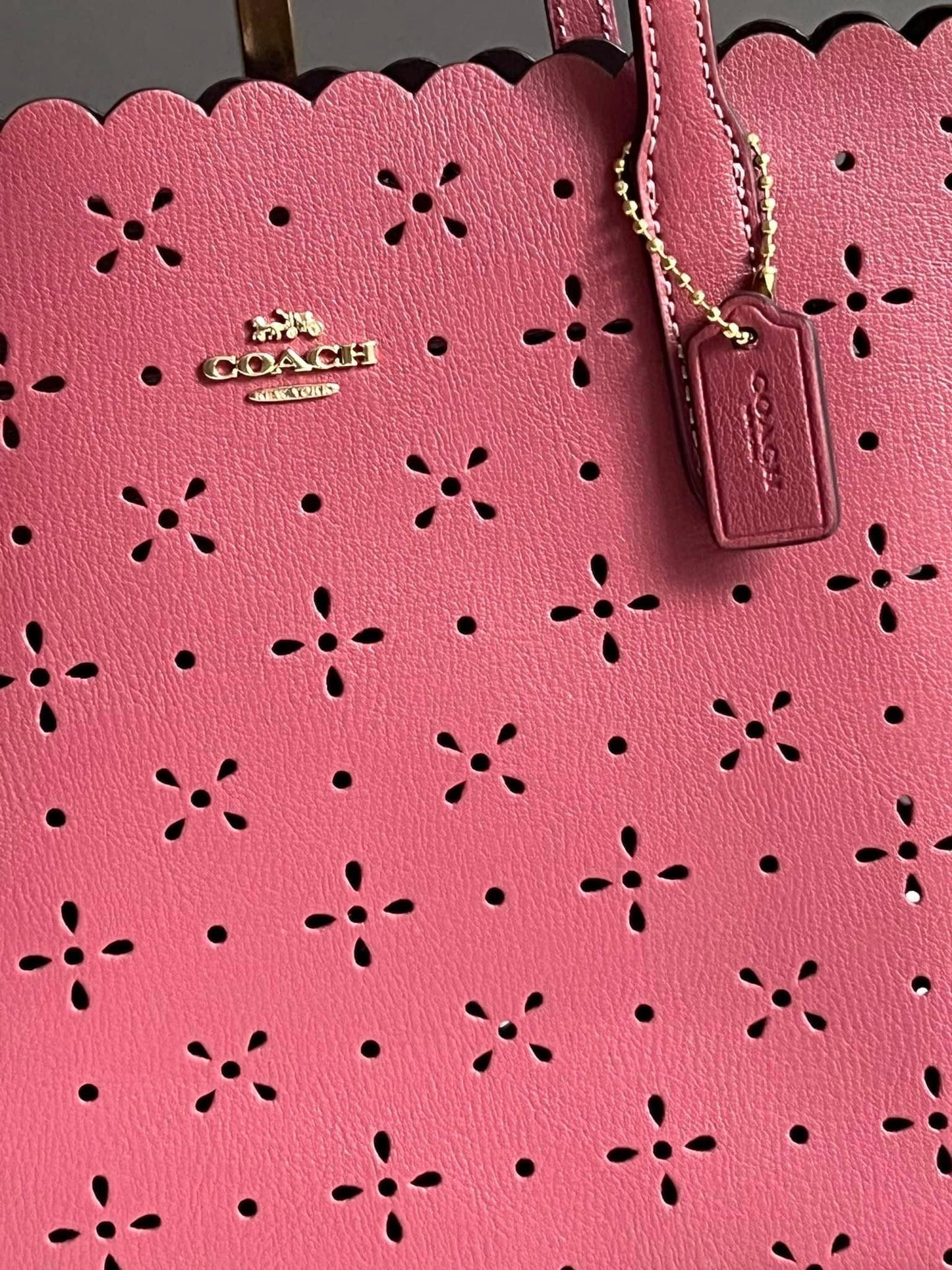 Coach Mini City Tote