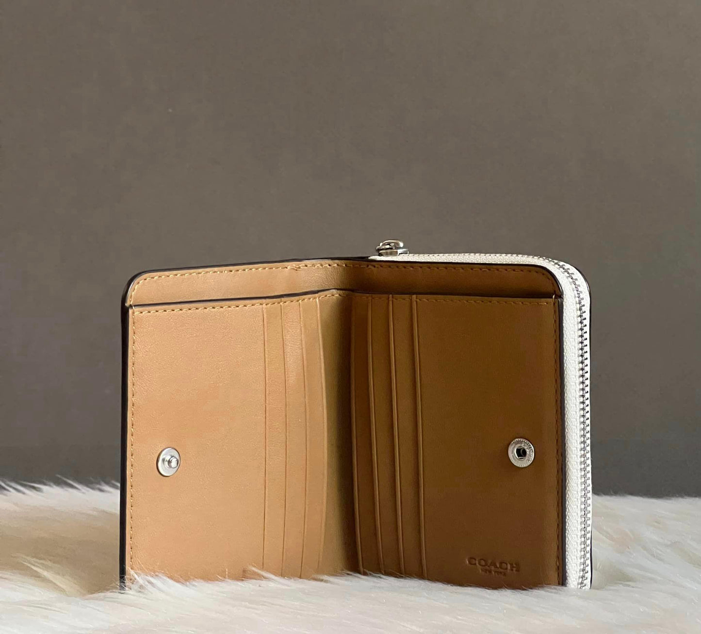 Coach Cosmic Billfold Wallet With Rexy