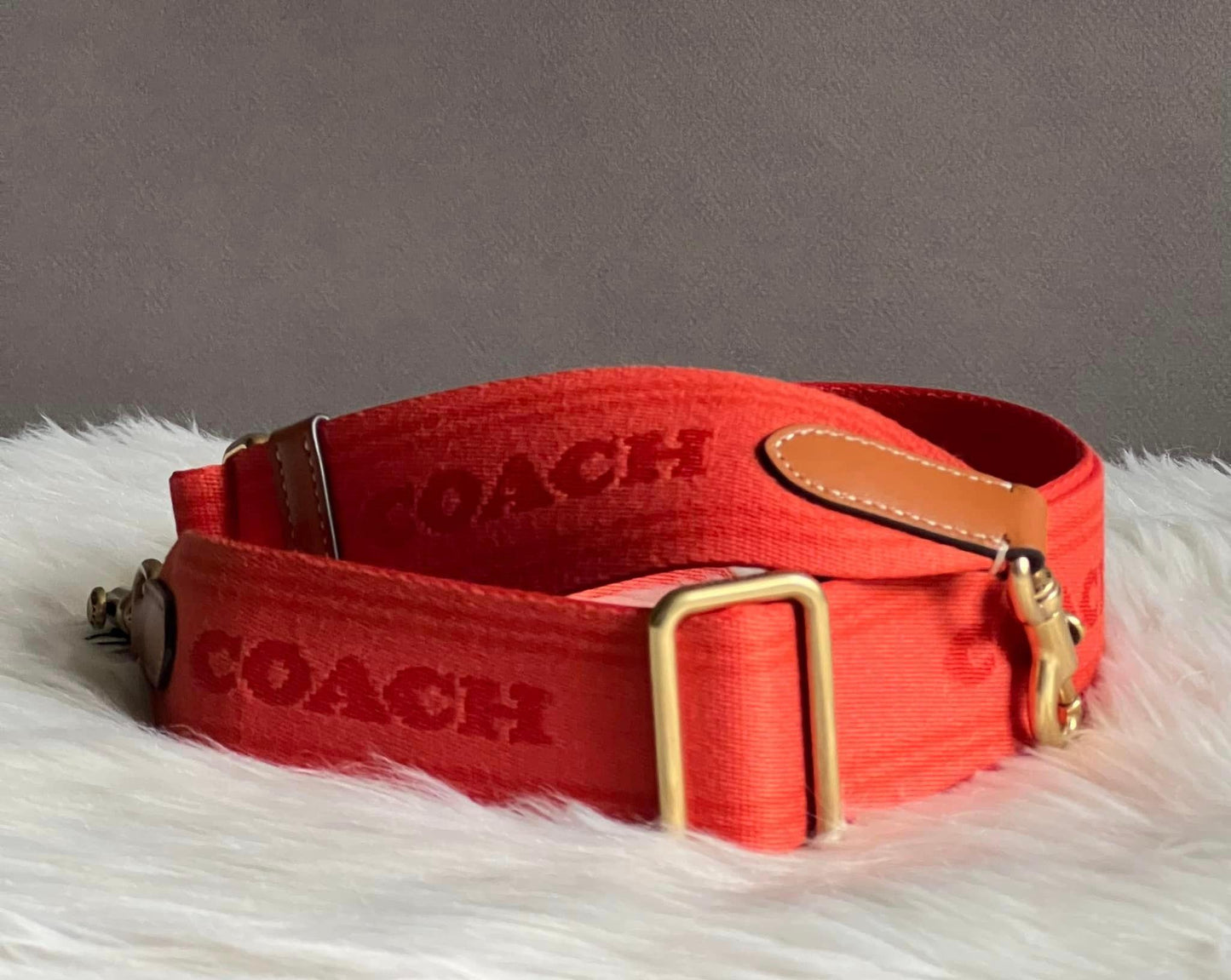 Coach Colorblock Webbing Strap