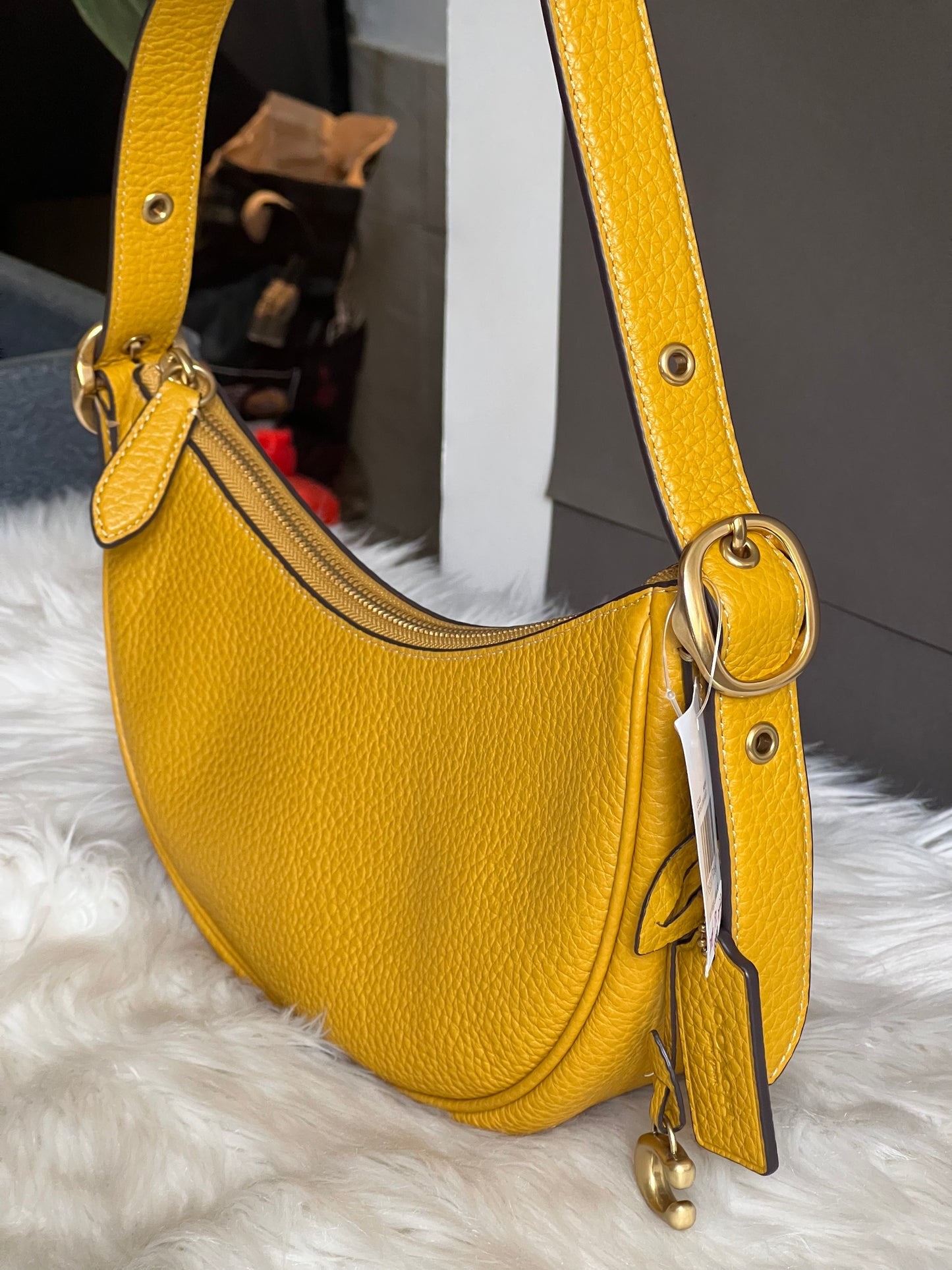 Coach Luna Shoulder Bag