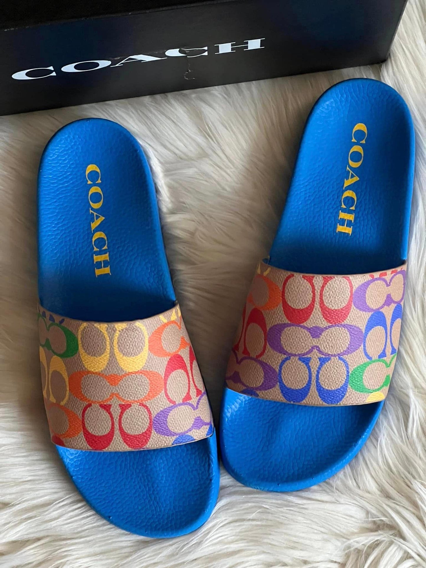 Coach Signature Slide in Rainbow Signature Canvas