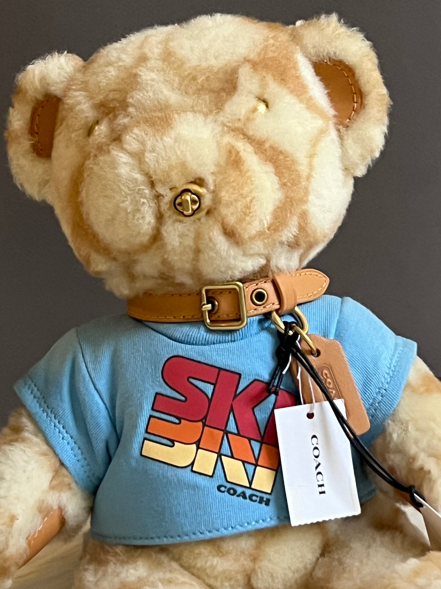 Coach Ski Bear Collectible in Signature Shearling
