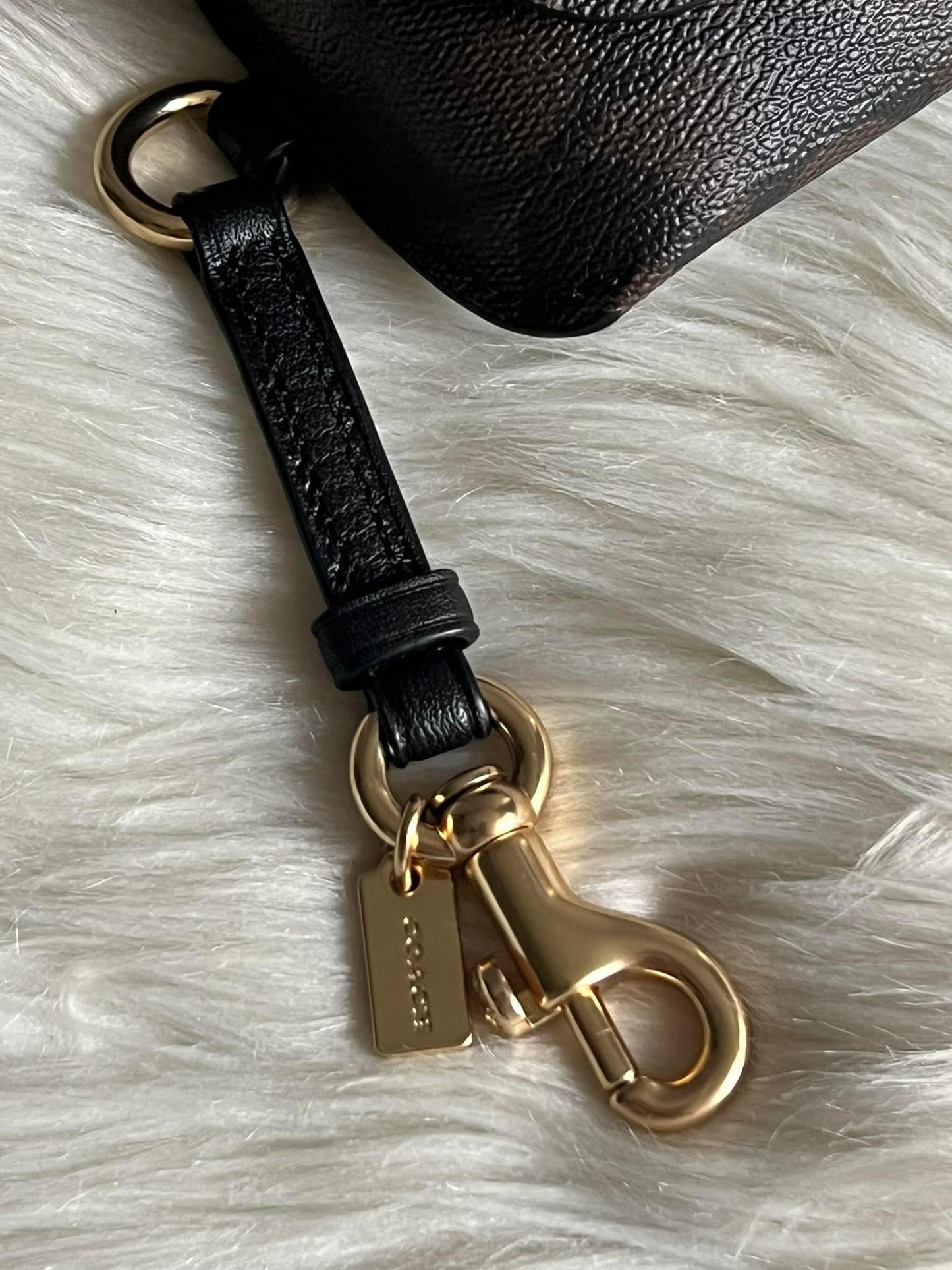 Coach Sunglass Case In Signature Canvas