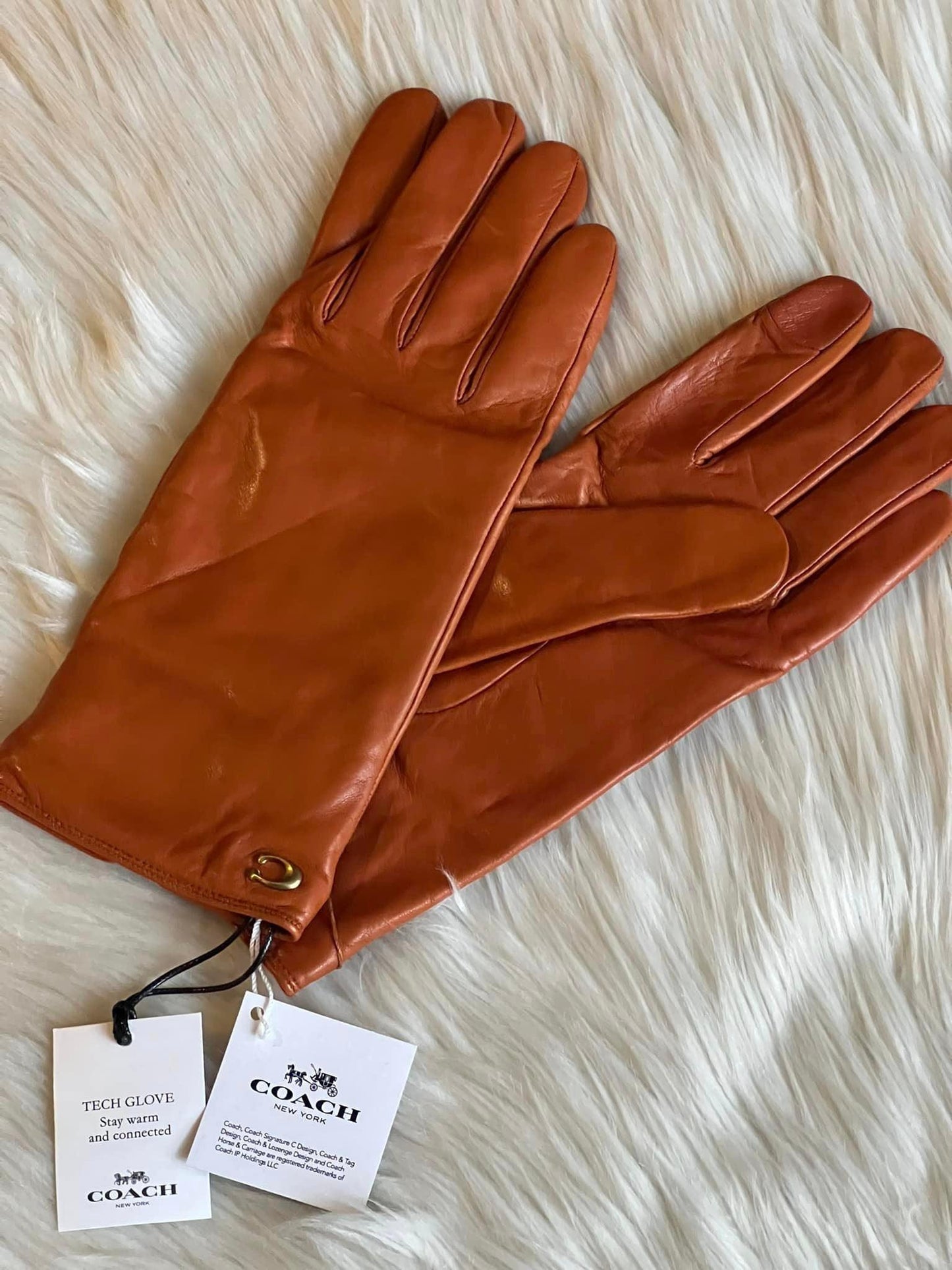 Coach Sculpted Signature Leather Tech Gloves