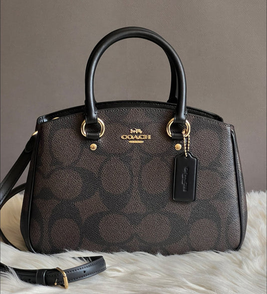 Coach Savannah Small Carryall Bag in Signature Canvas