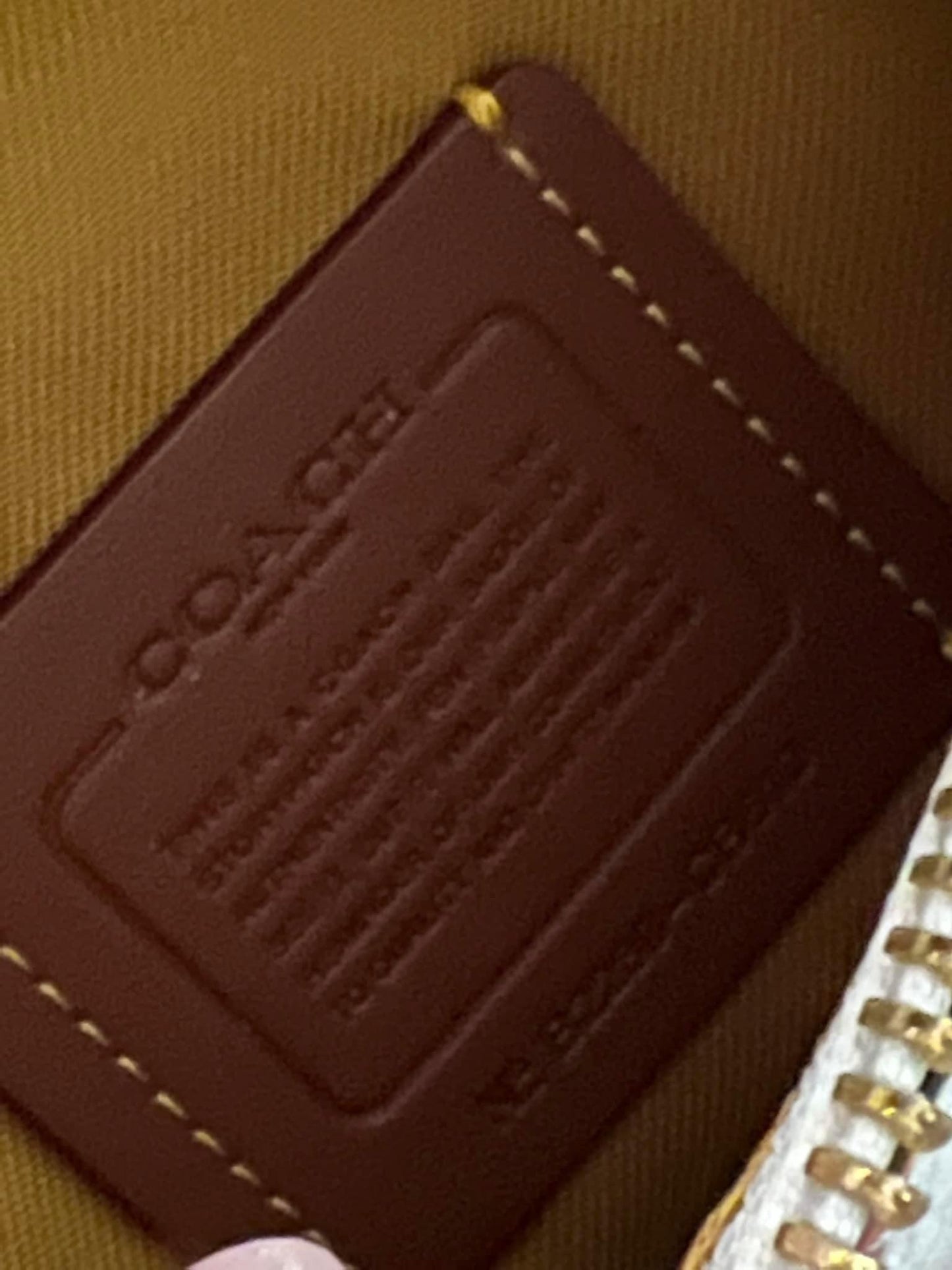 Coach Bethany Belt Bag with Cherry Print