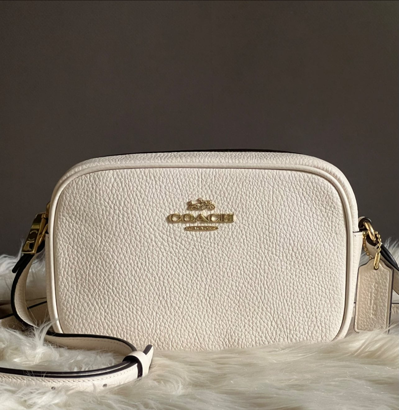 Coach Mini Jamie Camera Bag in Signature Leather