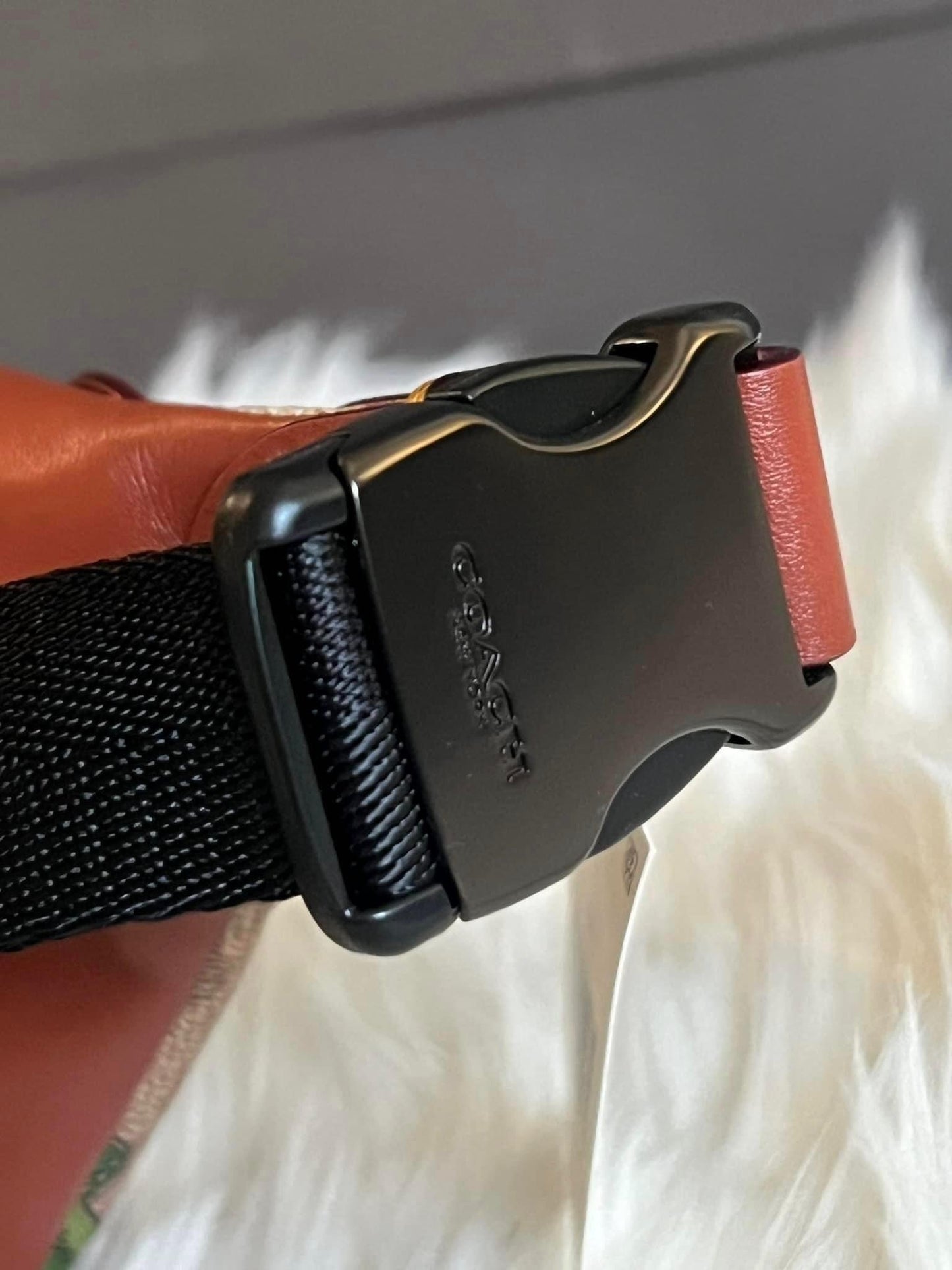 Coach Charter Belt Bag 7 in Signature Canvas with Rexy Print