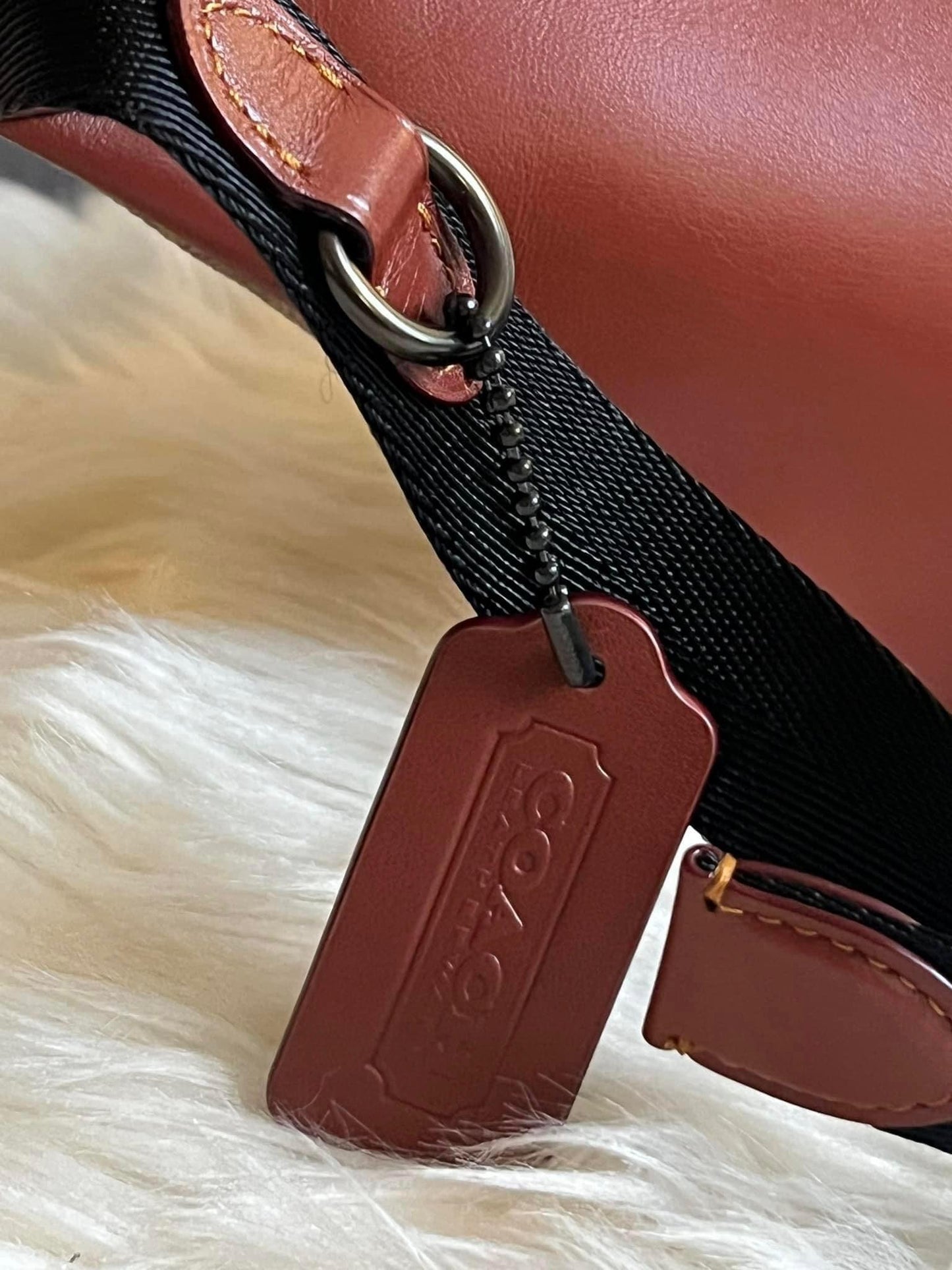 Coach Charter Belt Bag 7 in Signature Canvas with Rexy Print