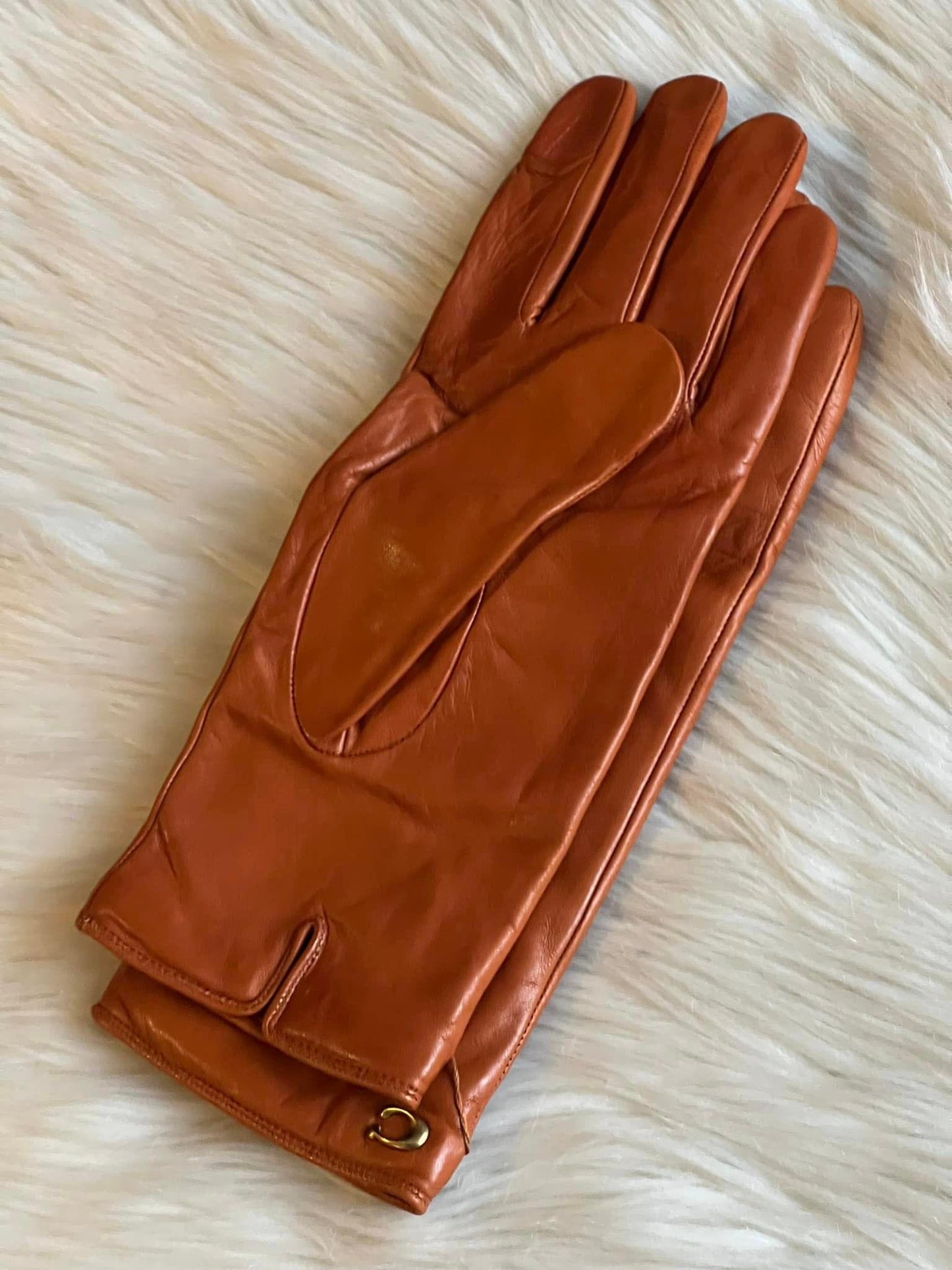 Coach Sculpted Signature Leather Tech Gloves