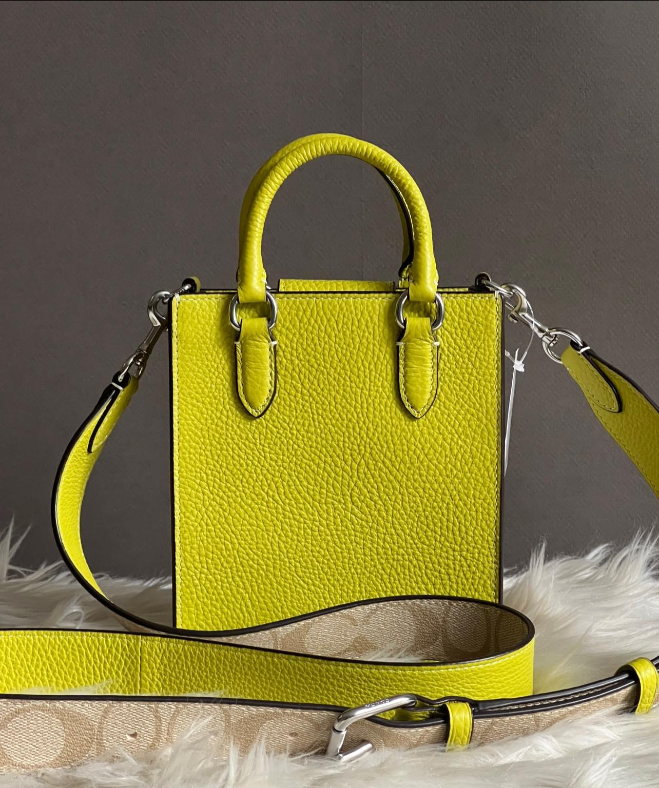 Coach North South Mini Tote with Signature Canvas