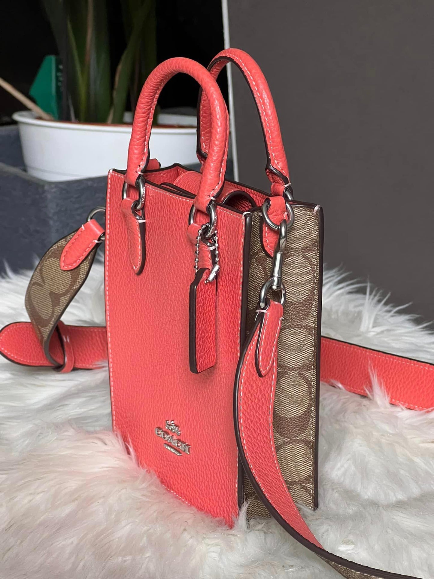 Coach North South Mini Tote with Signature Canvas