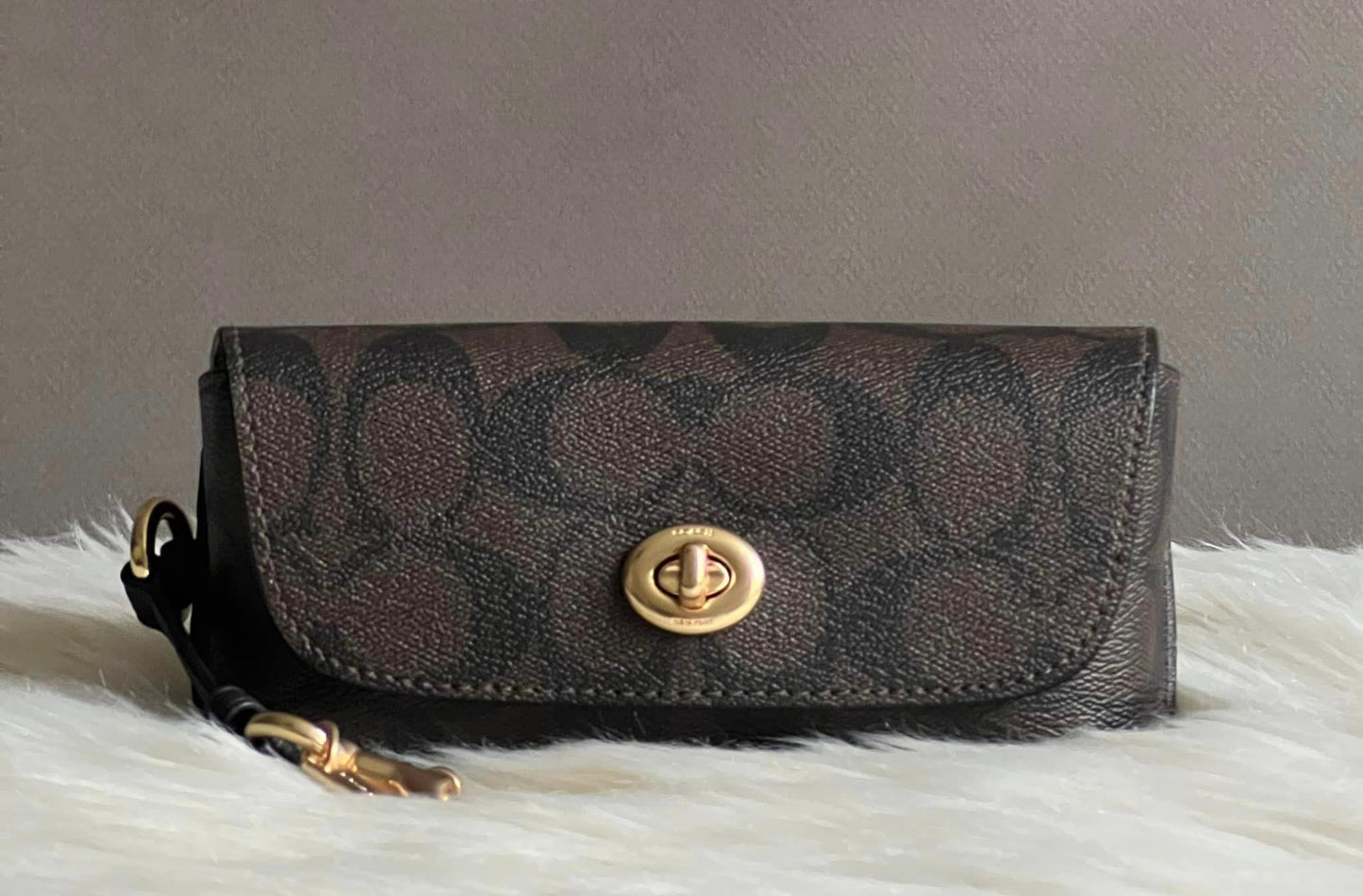 Coach Sunglass Case In Signature Canvas