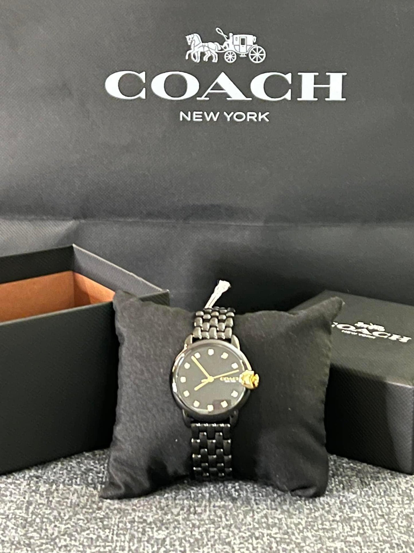 Coach Arden Watch