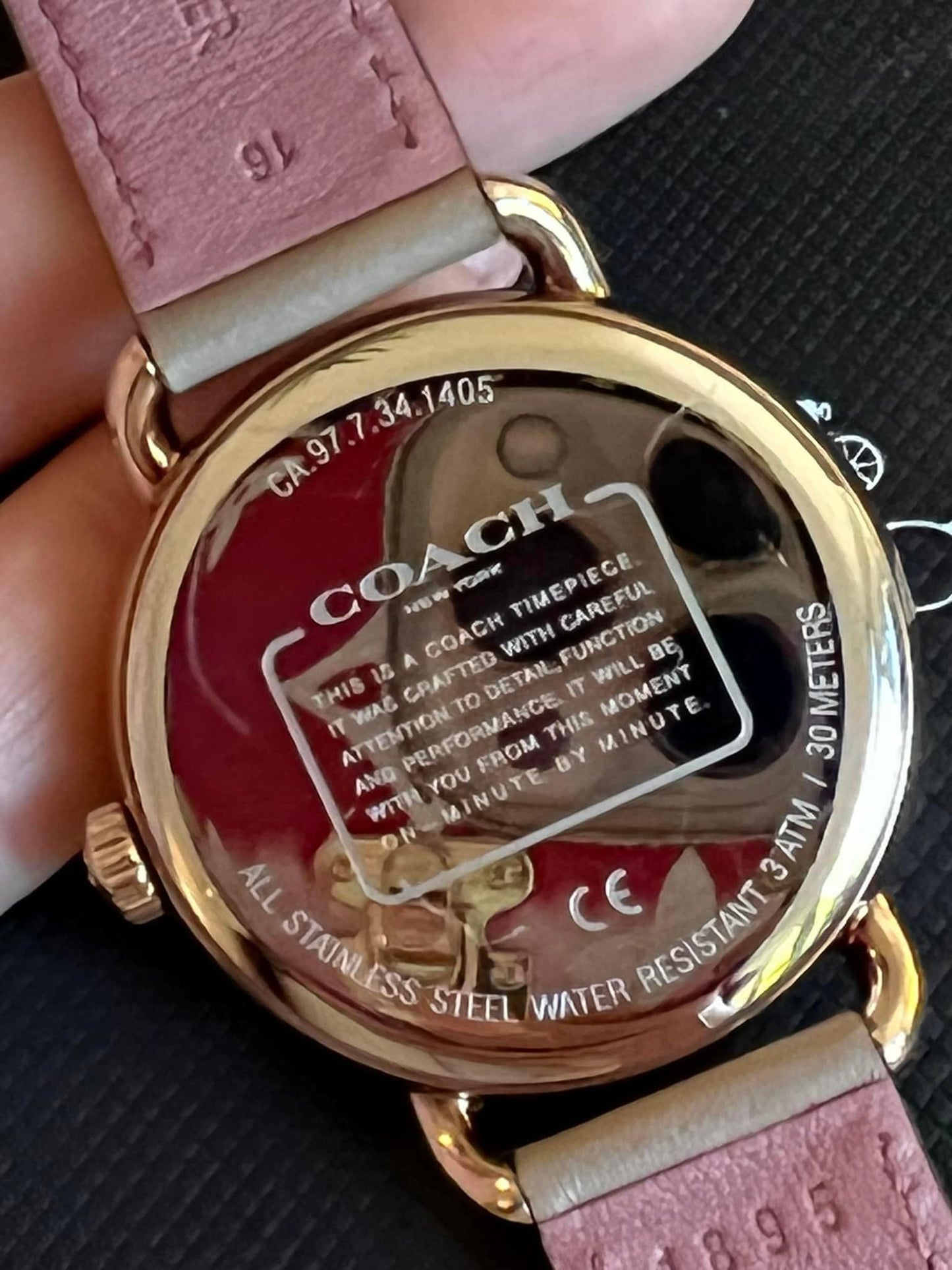 Coach Delancey Watch