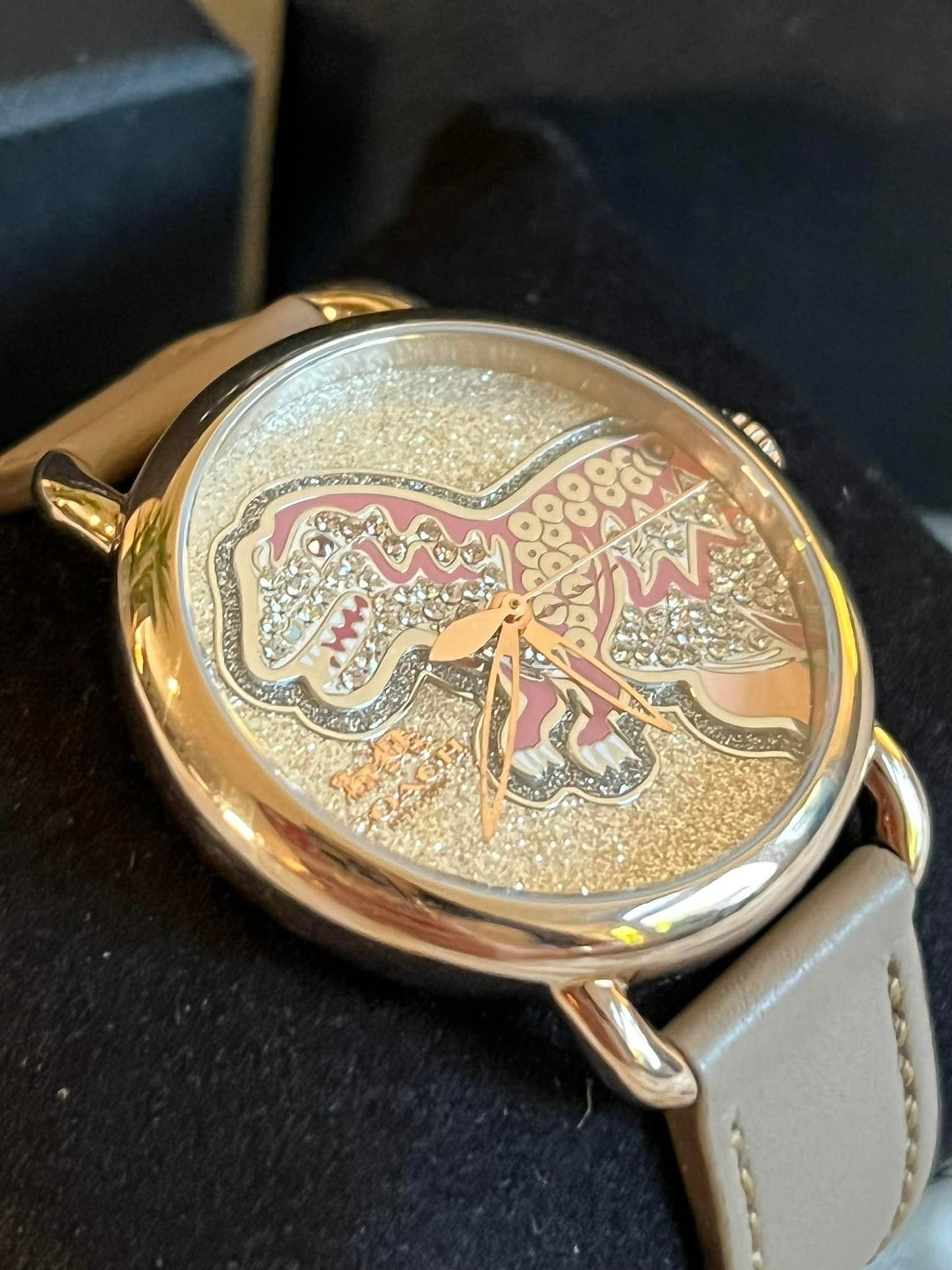 Coach Delancey Watch