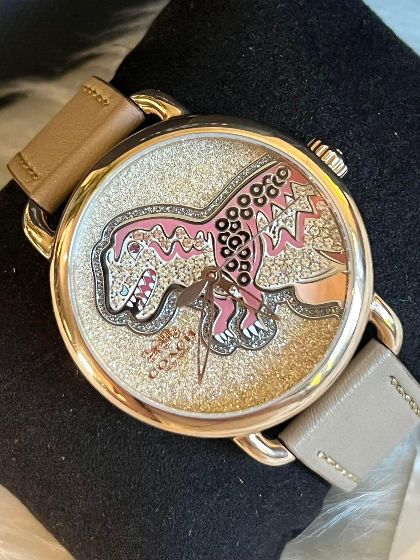 Coach Delancey Watch