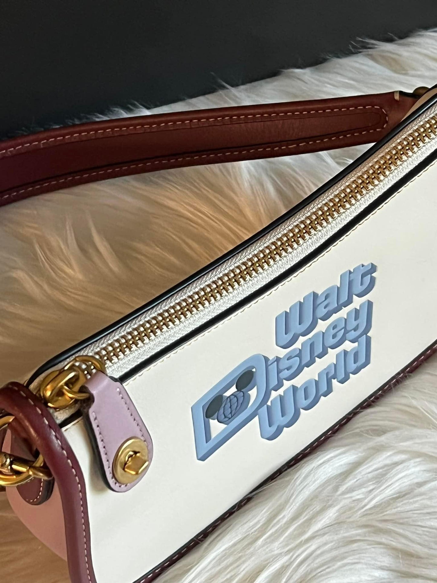 Coach X Disney Swinger 20 with Walt Disney World Motif