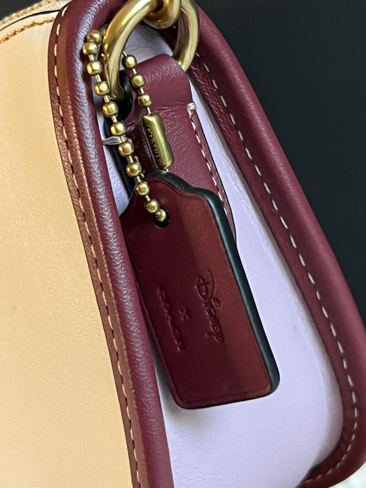 Coach X Disney Swinger 20 with Walt Disney World Motif