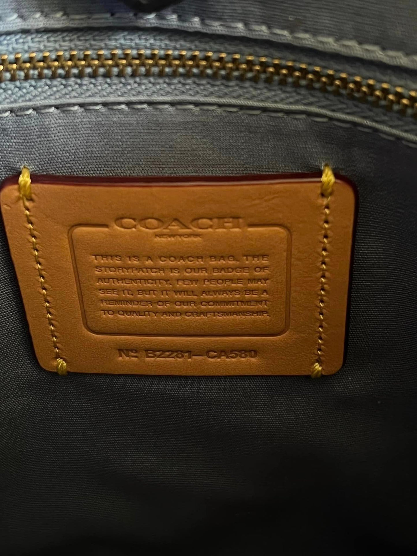 Coach Field Tote 22 in Signature Denim