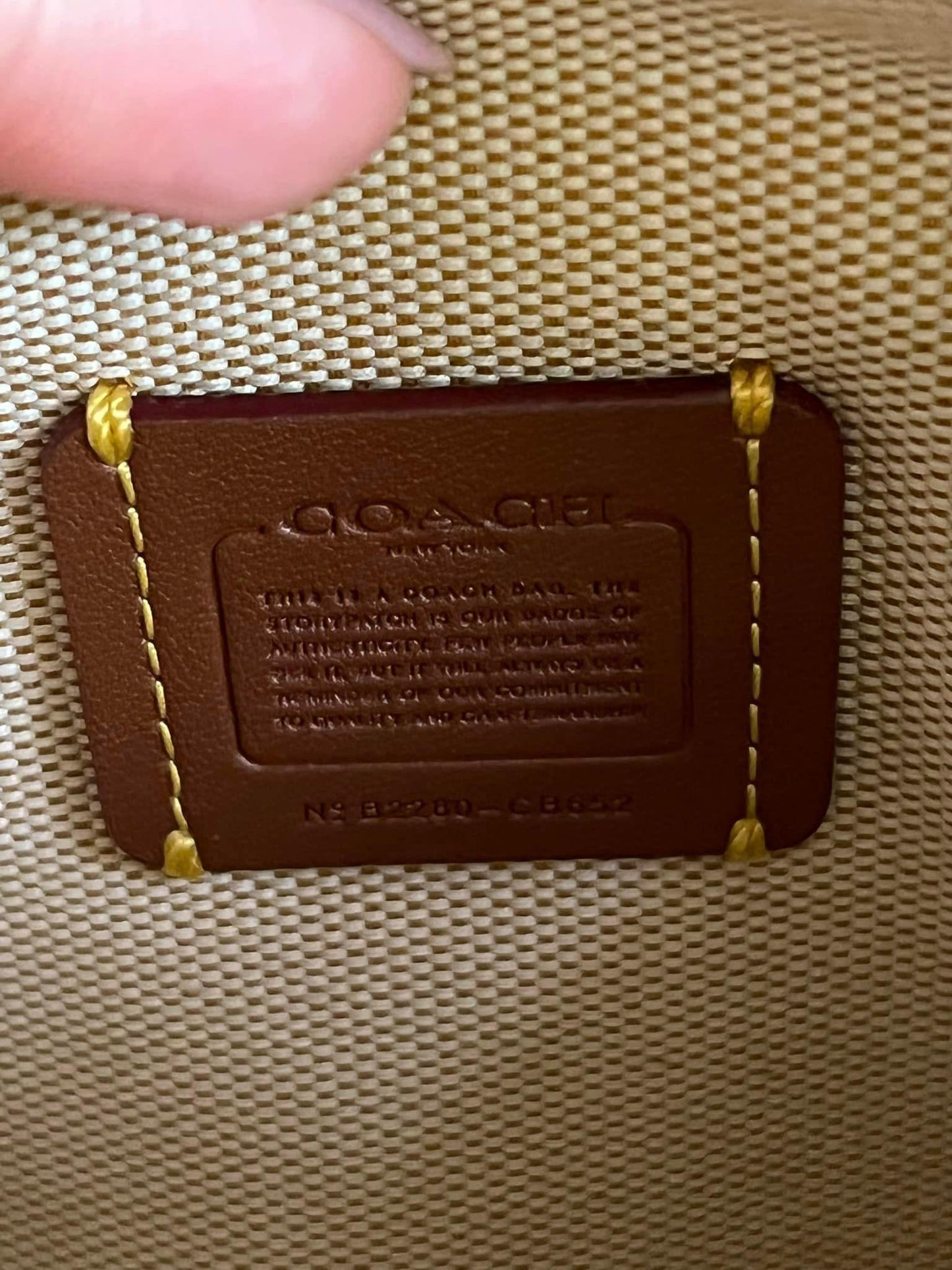 Coach Rogue 17 with Cherry Print