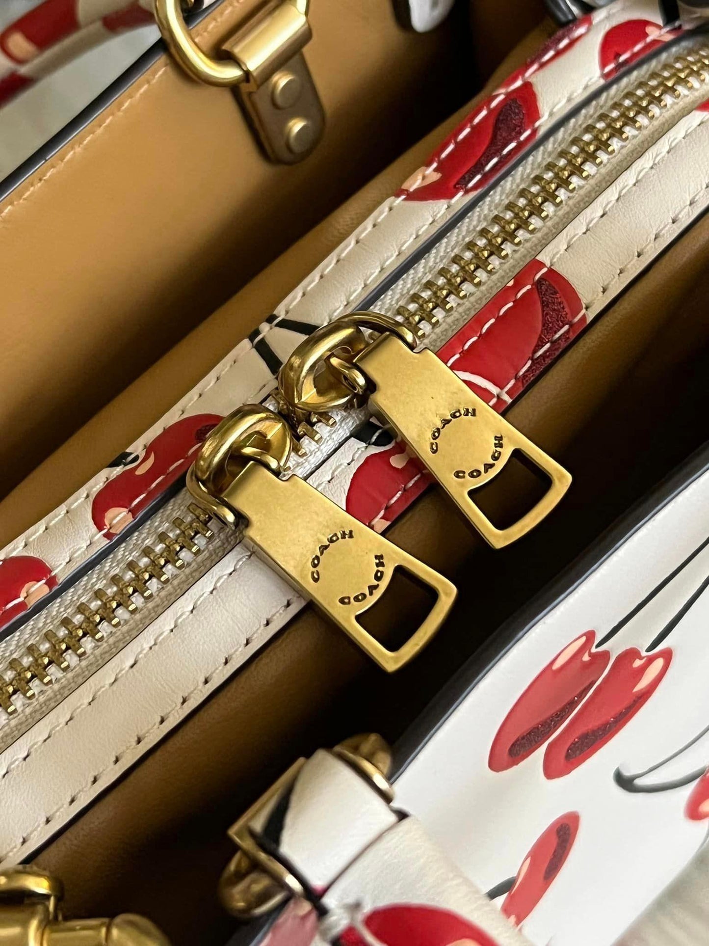 Coach Rogue 17 with Cherry Print