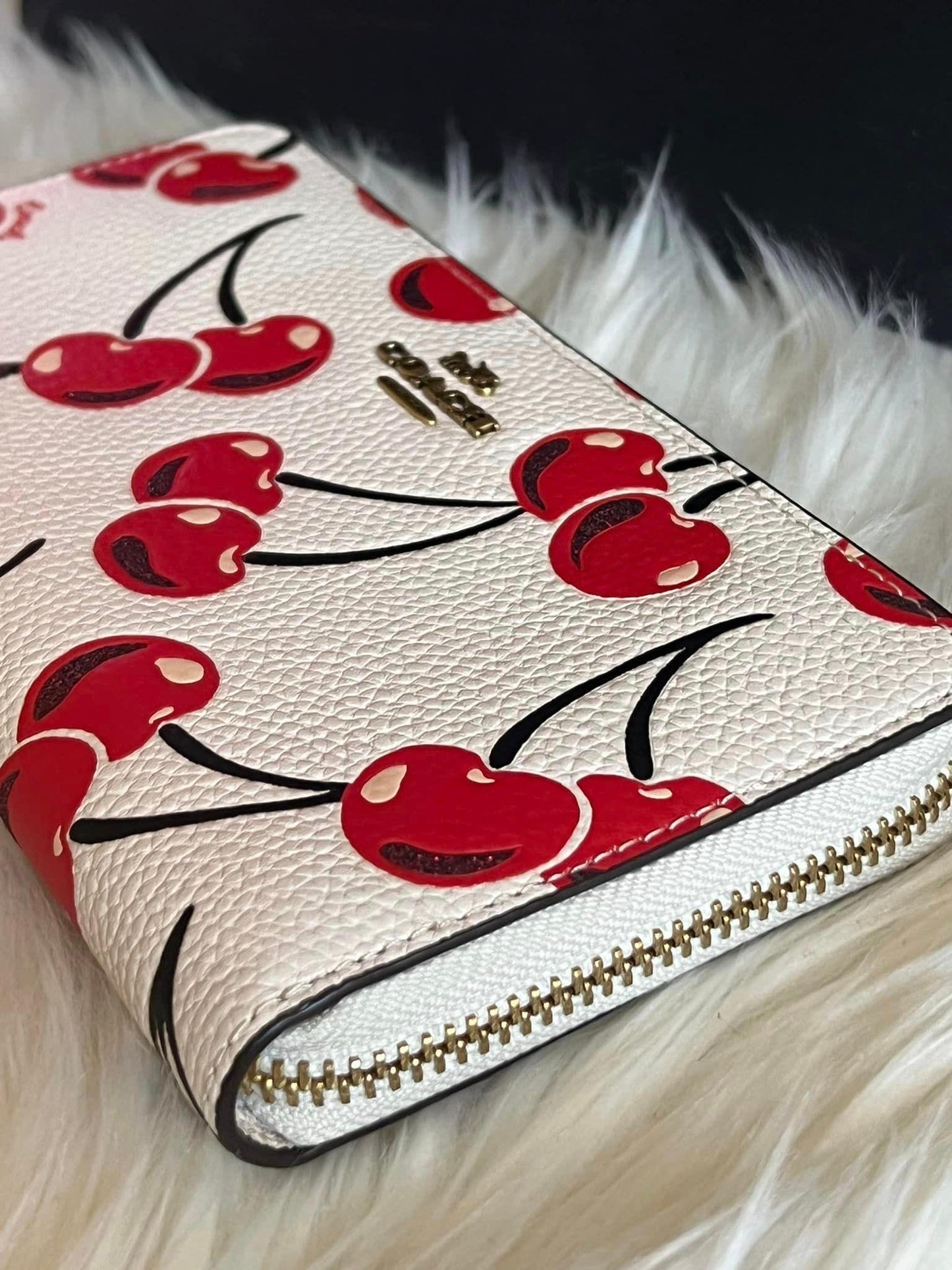 Coach Accordion Zip Wallet with Cherry Print