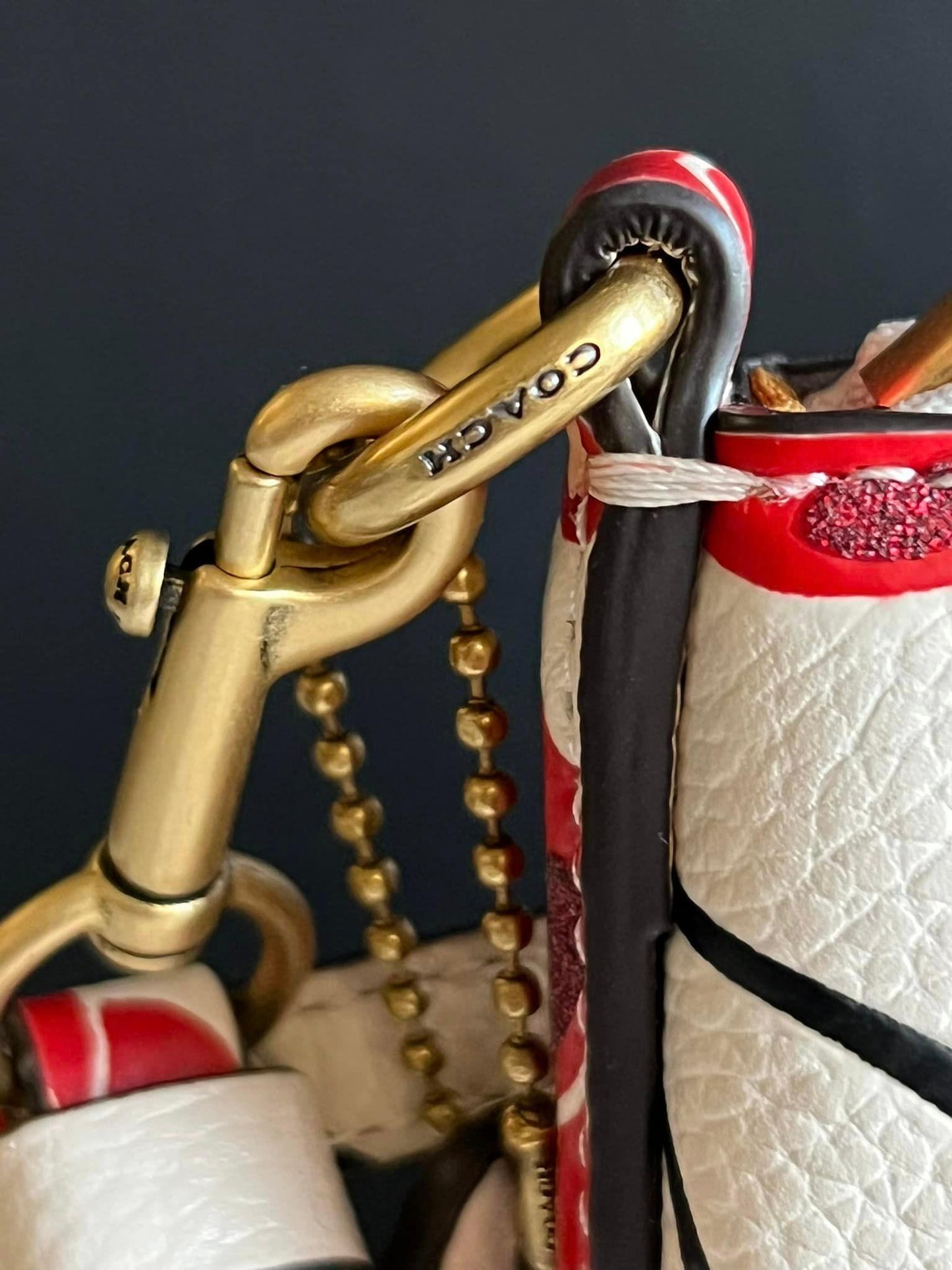 Coach Kitty Messenger Crossbody with Cherry Print