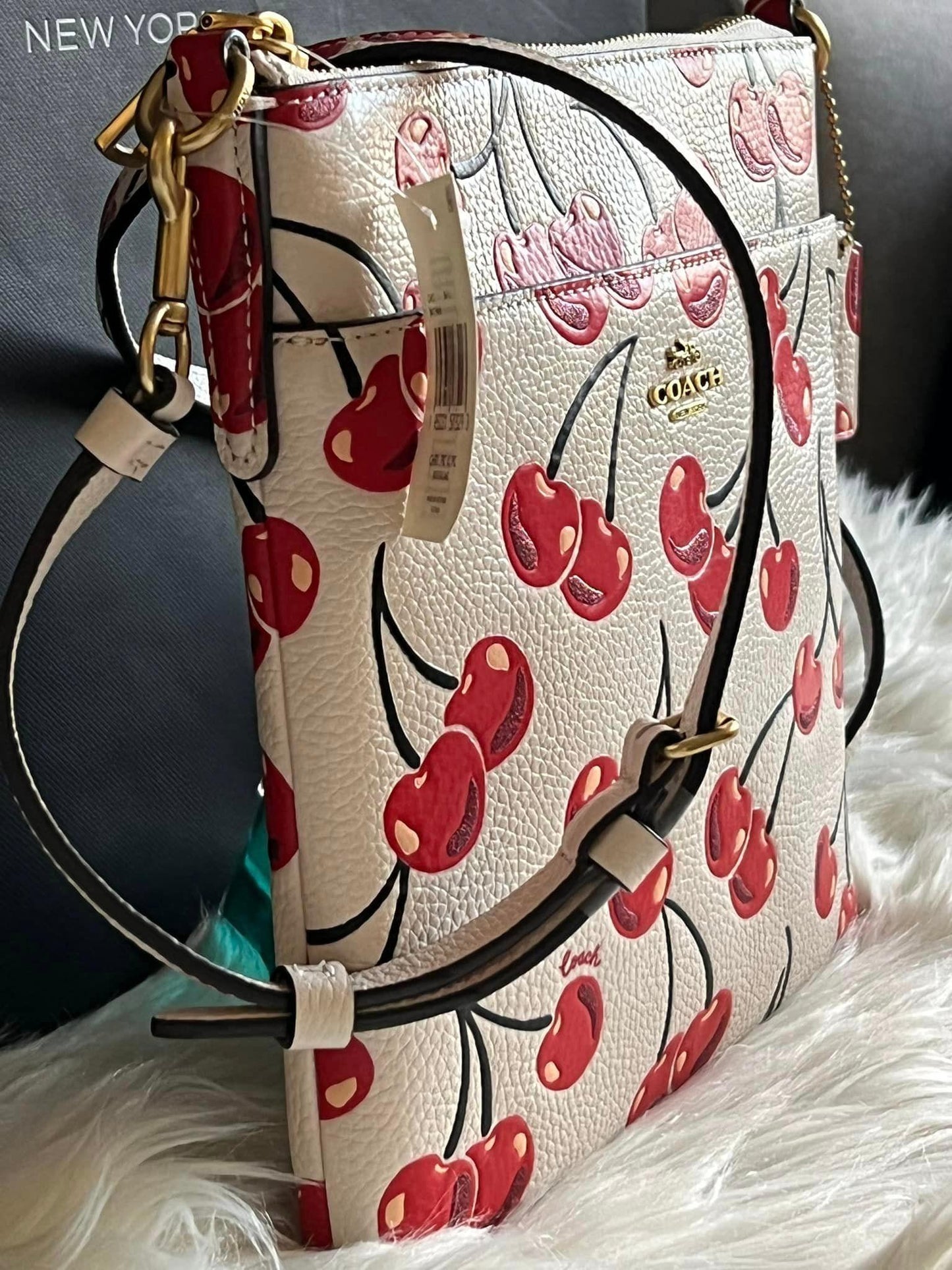 Coach Kitty Messenger Crossbody with Cherry Print