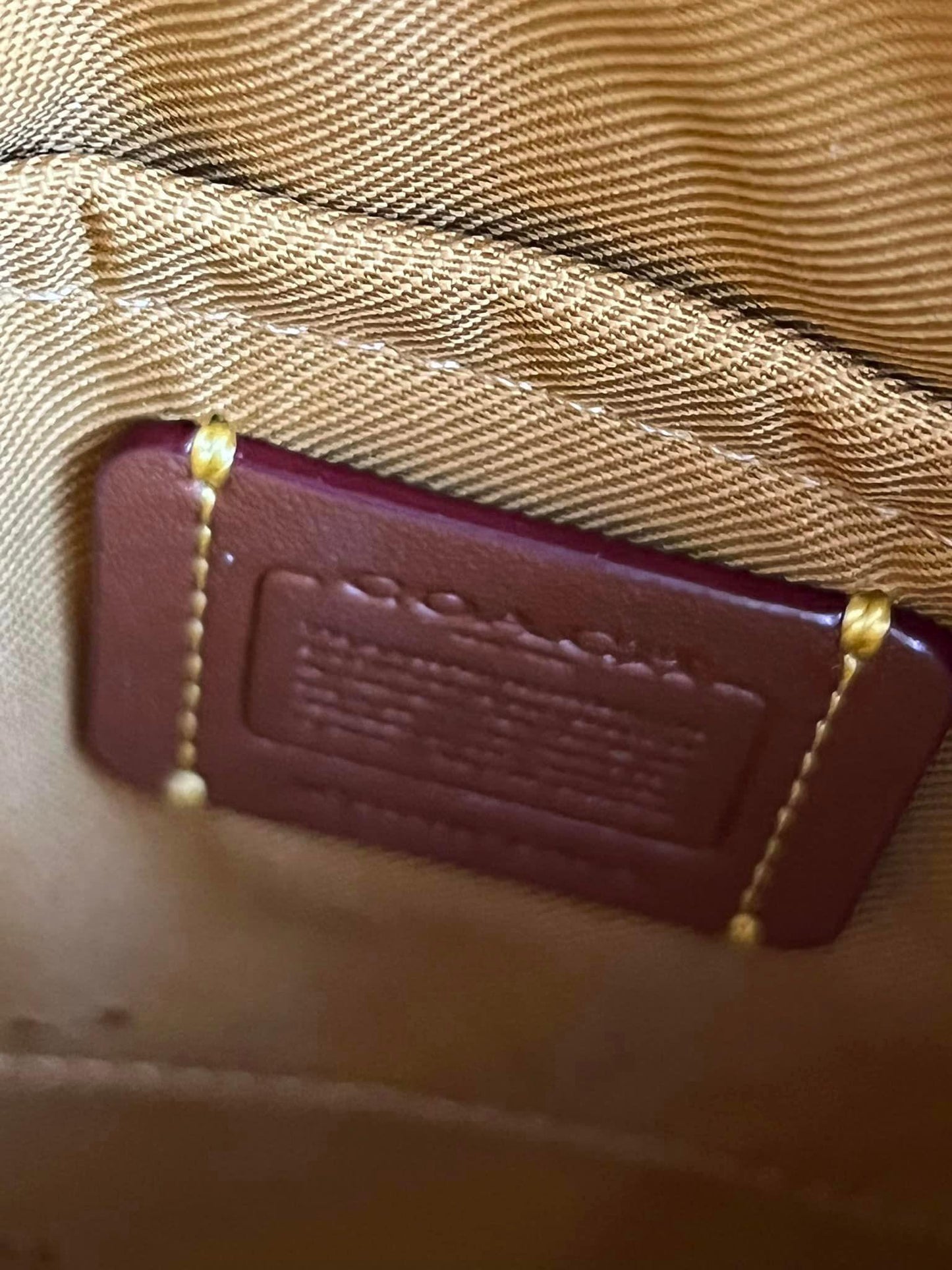 Coach Kitty Messenger Crossbody with Cherry Print