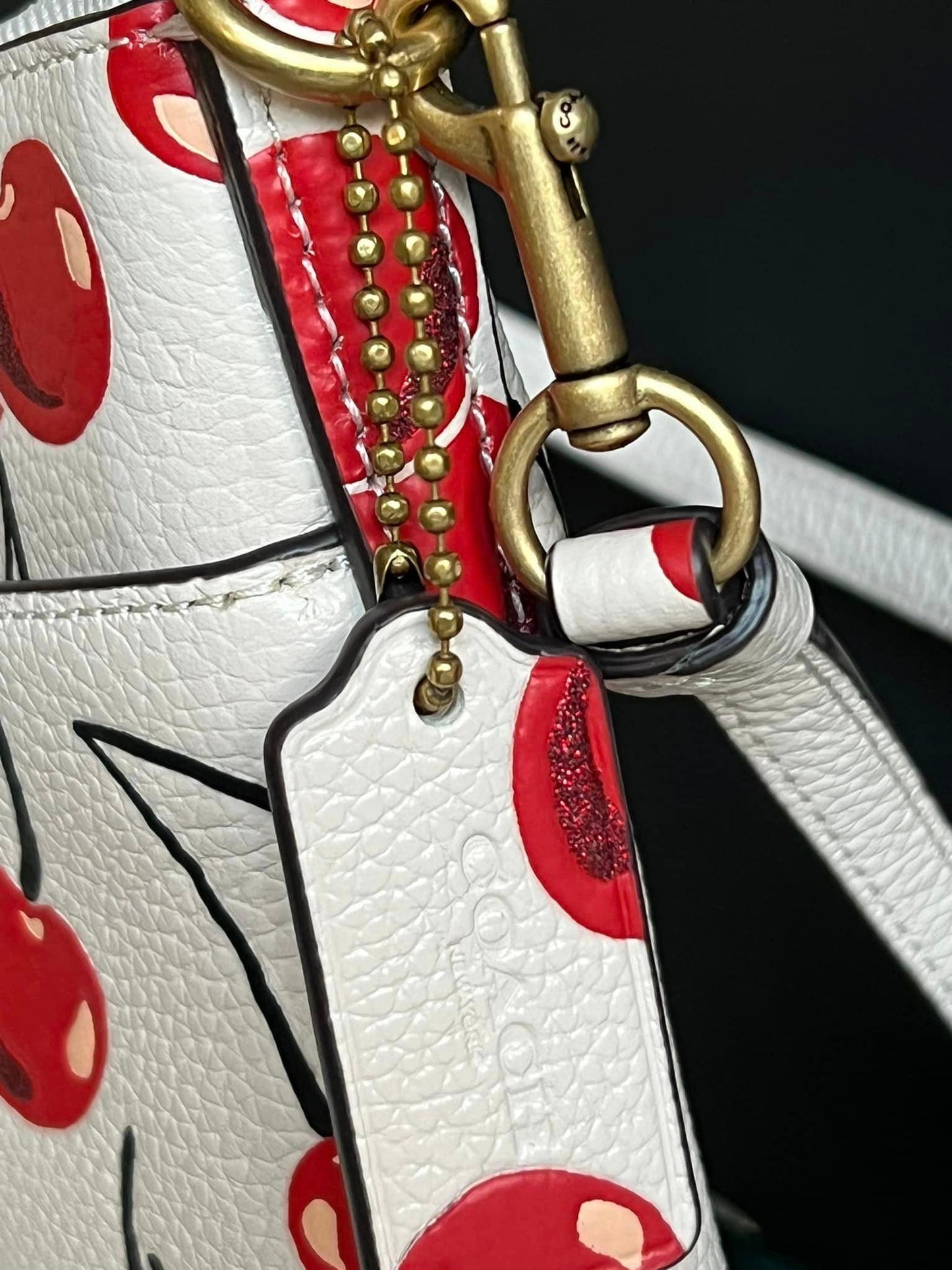 Coach Kitty Messenger Crossbody with Cherry Print