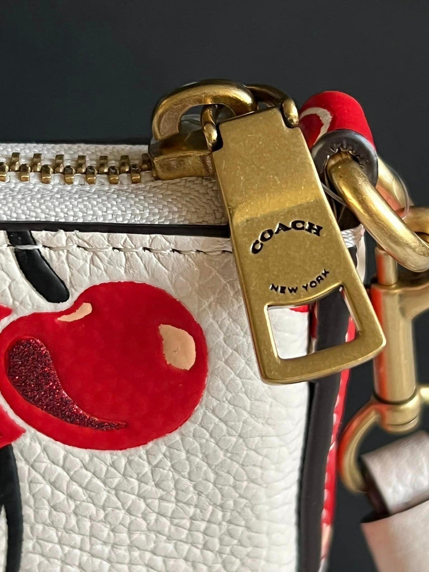 Coach Kitty Messenger Crossbody with Cherry Print