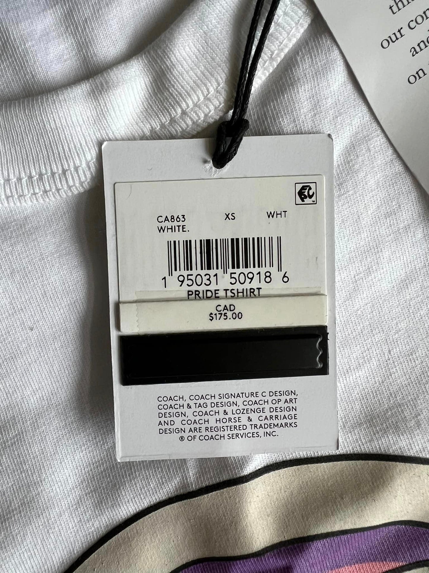 Coach Rainbow Horse and Carriage T-shirt in Organic Cotton