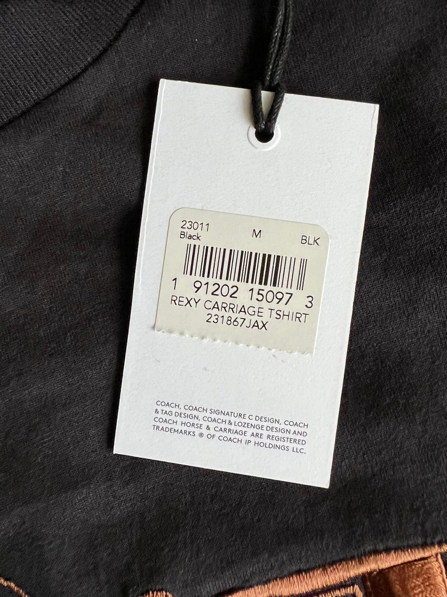 Coach Rexy and Carriage T-shirt