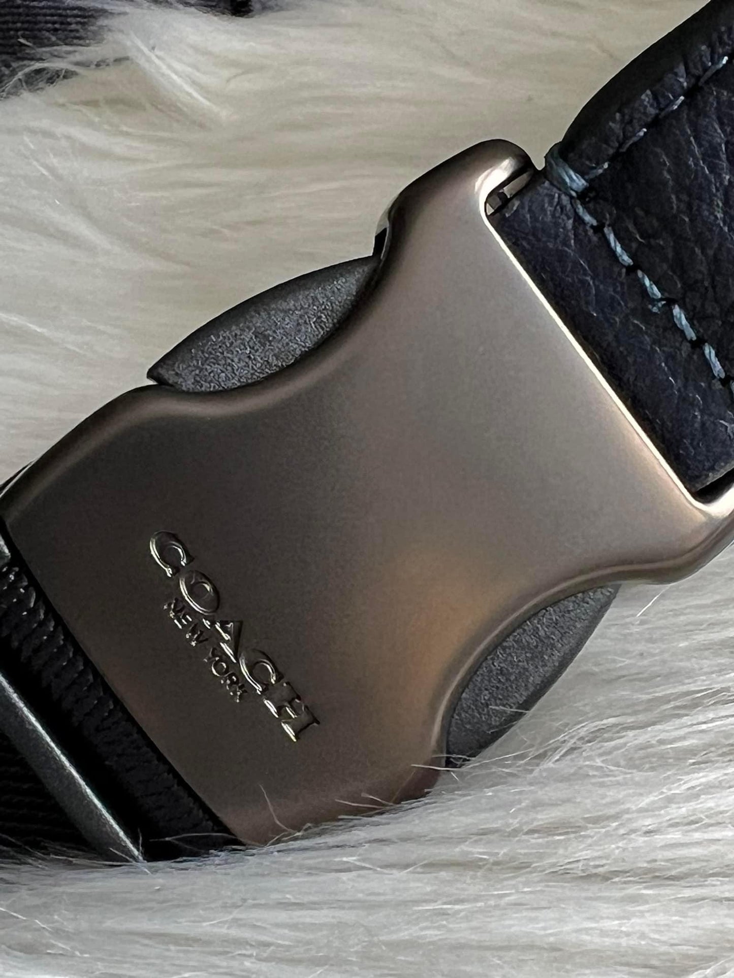 Coach Charter Belt Bag 7